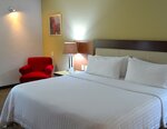 Номер «Премиум», 1 двуспальная кровать «Кинг-сайз» (Bath Shower Combination) в Holiday Inn Guadalajara Select