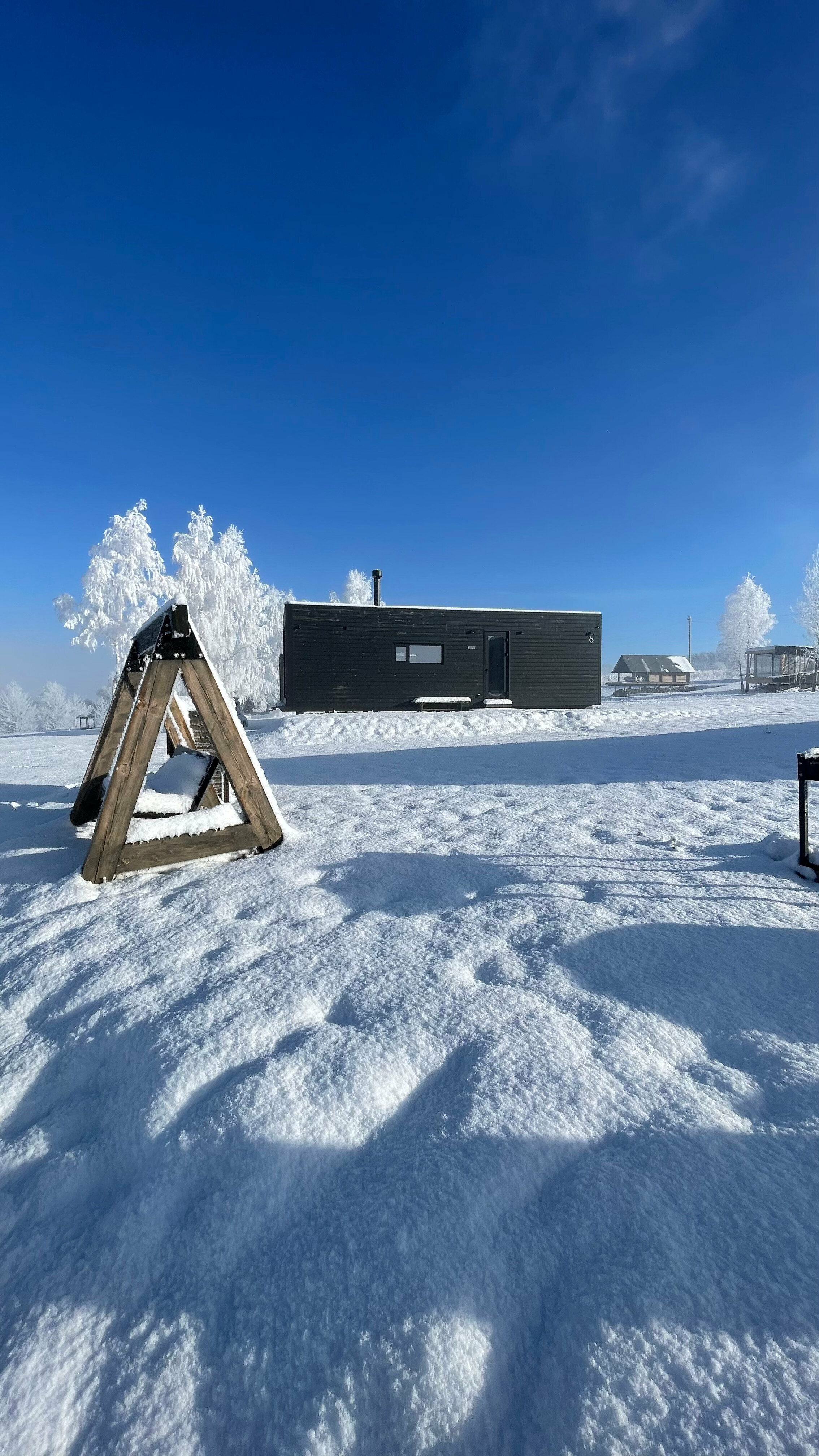 Вольный ветер