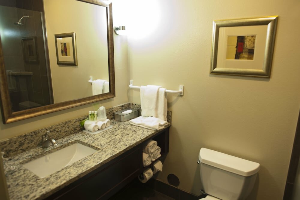 Suite, 1 King Bed