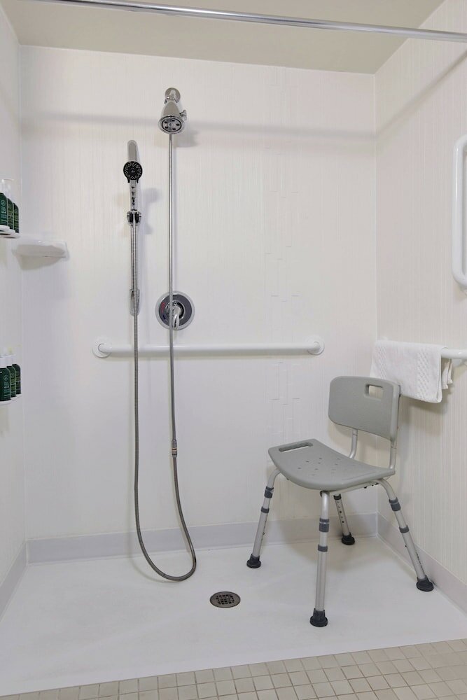 Room, 1 King Bed with Sofa bed (Mobility/Hearing Accessible, Tub)