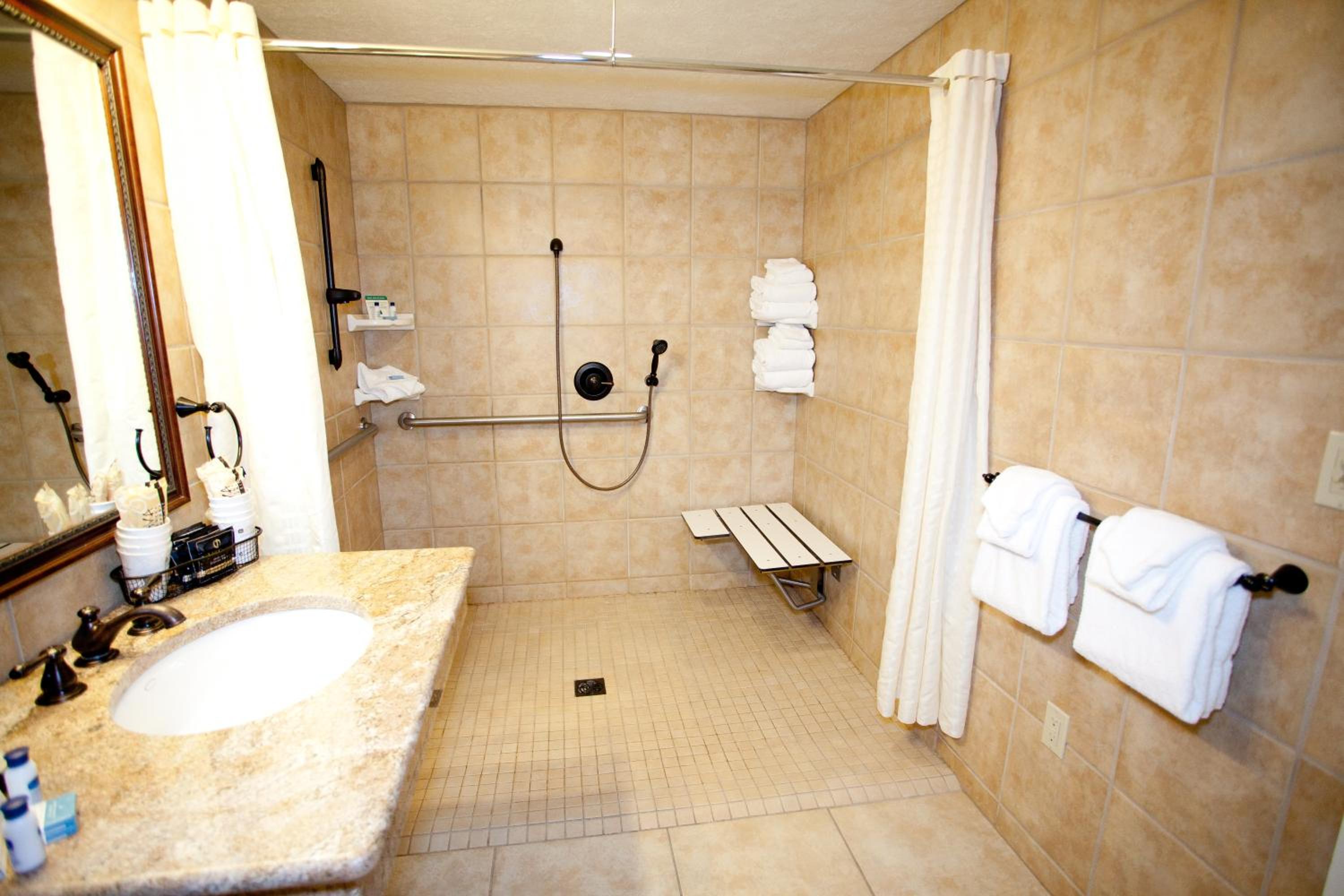 King Room with Roll-In Shower - Mobility Access