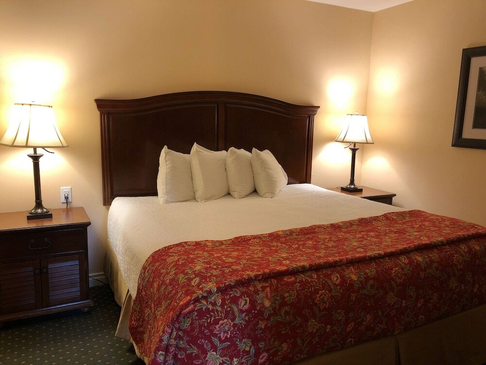 Suite, 1 King Bed, Non Smoking, Refrigerator & Microwave