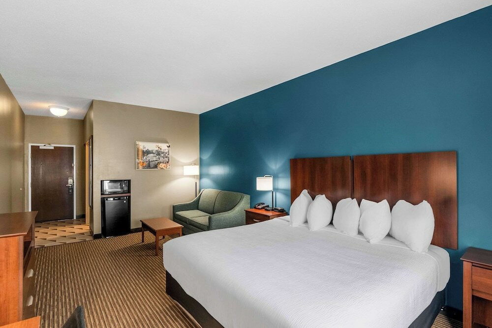 Standard Room, 1 King Bed with Sofa bed, Non Smoking