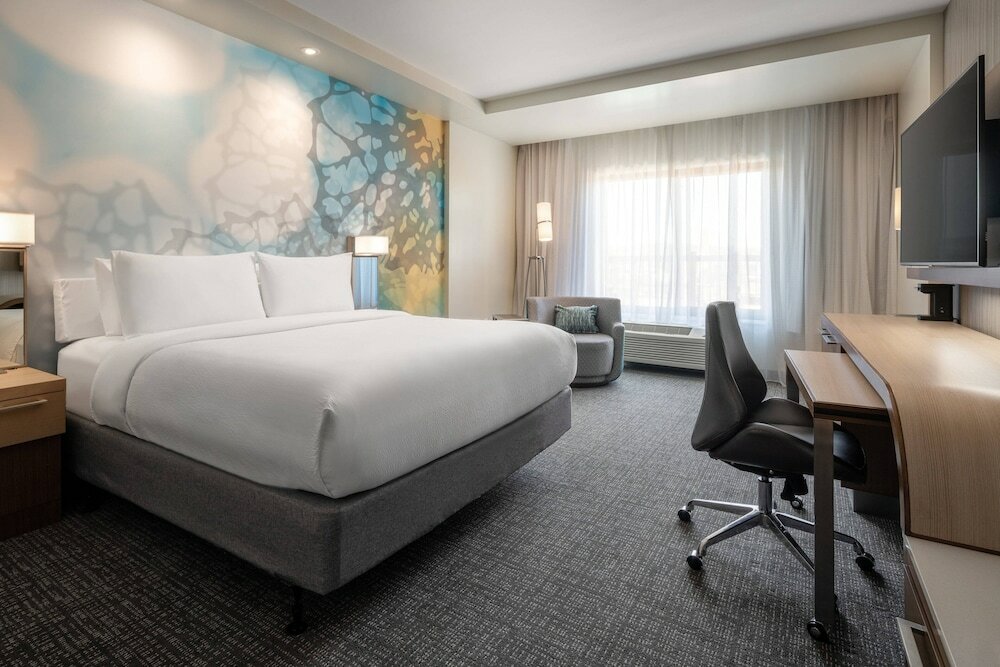 Room, 1 King Bed with Sofa bed (Hearing Accessible)