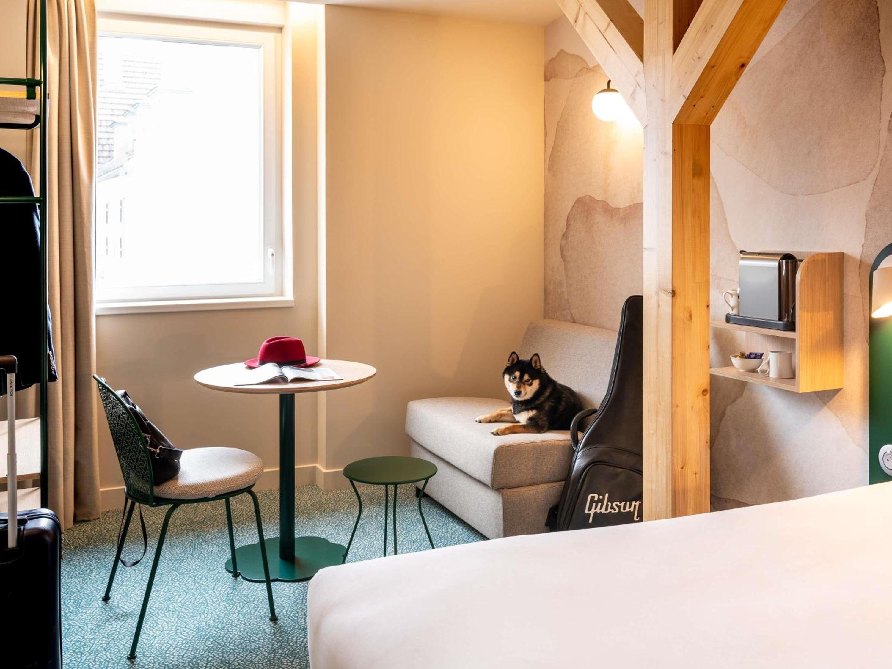 Comfort Queen Room with Convertible Chair