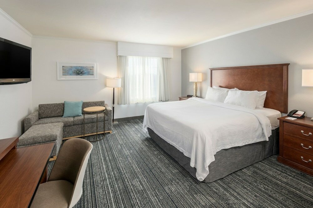 Suite, 1 King Bed with Sofa bed
