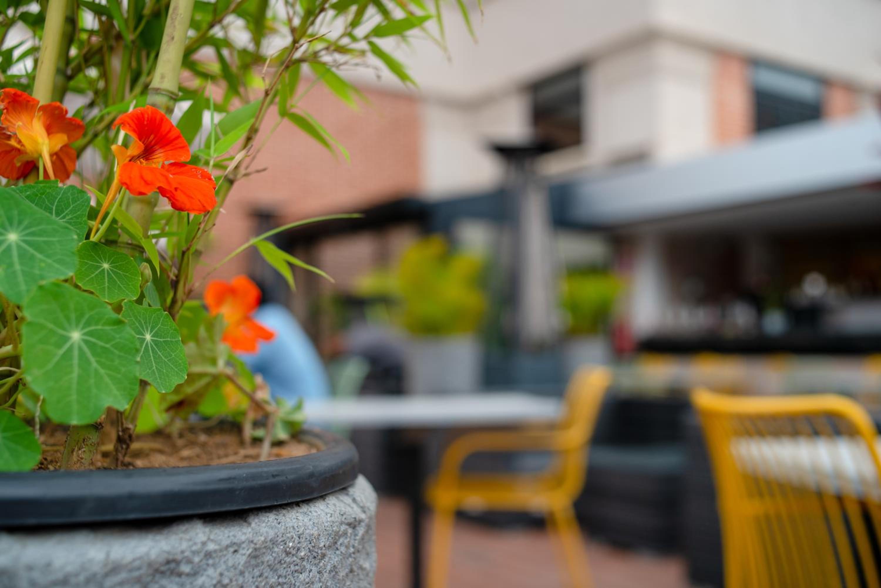 One-Bedroom Premium Apartment with Hill View