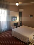 Double Room Single Use в Hotel Diana