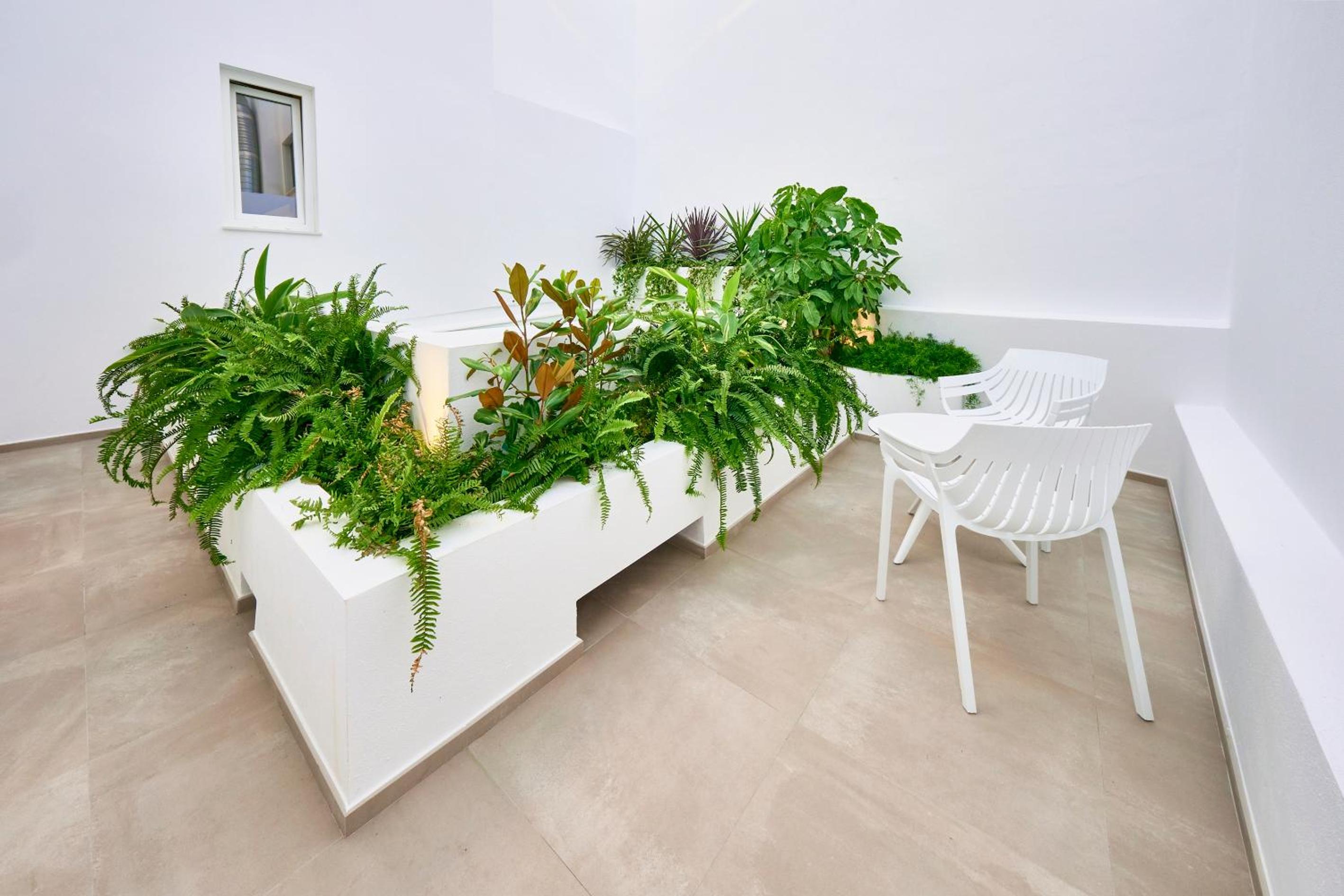 Double Room with Terrace