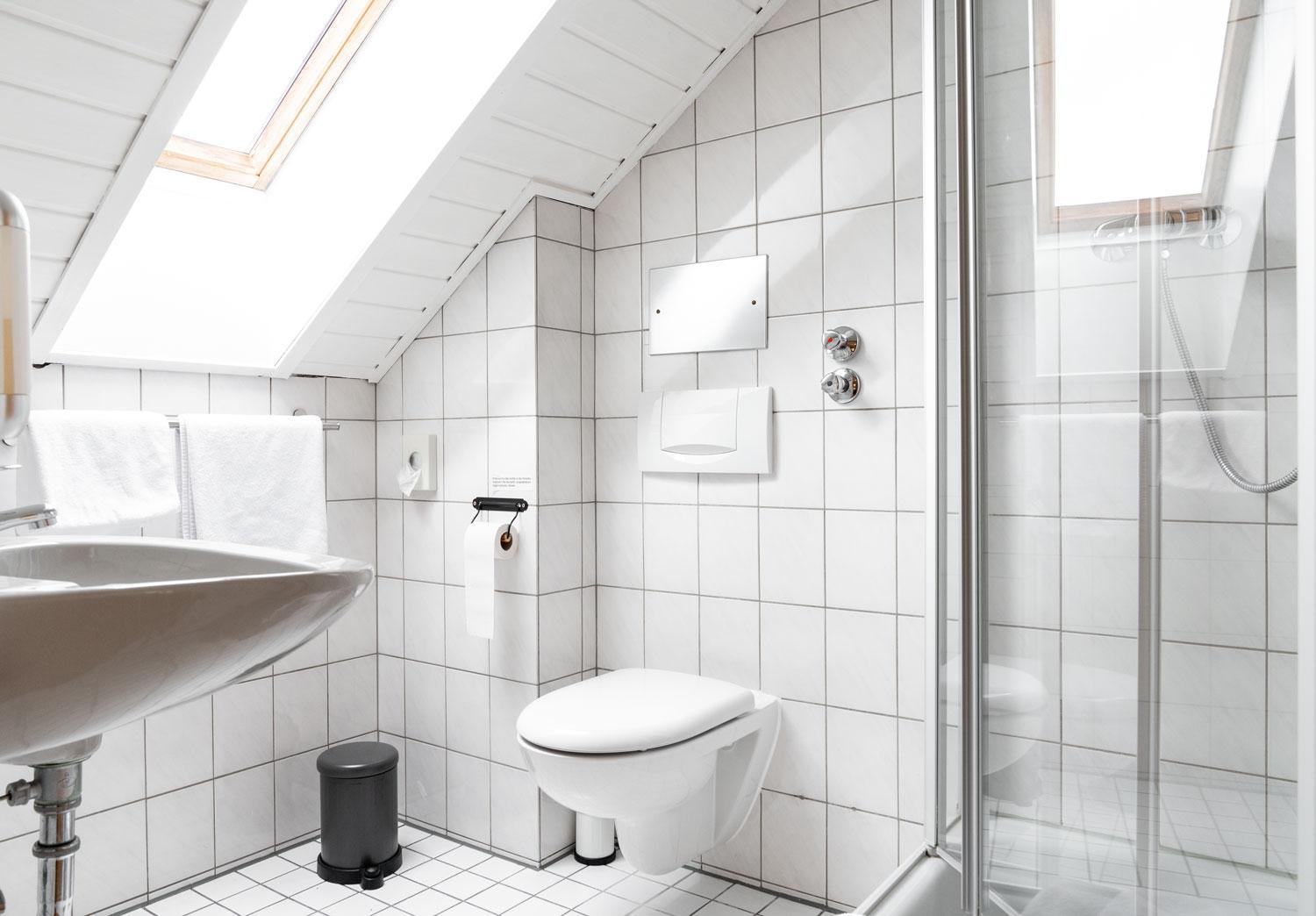 Comfort Single Room with Shower