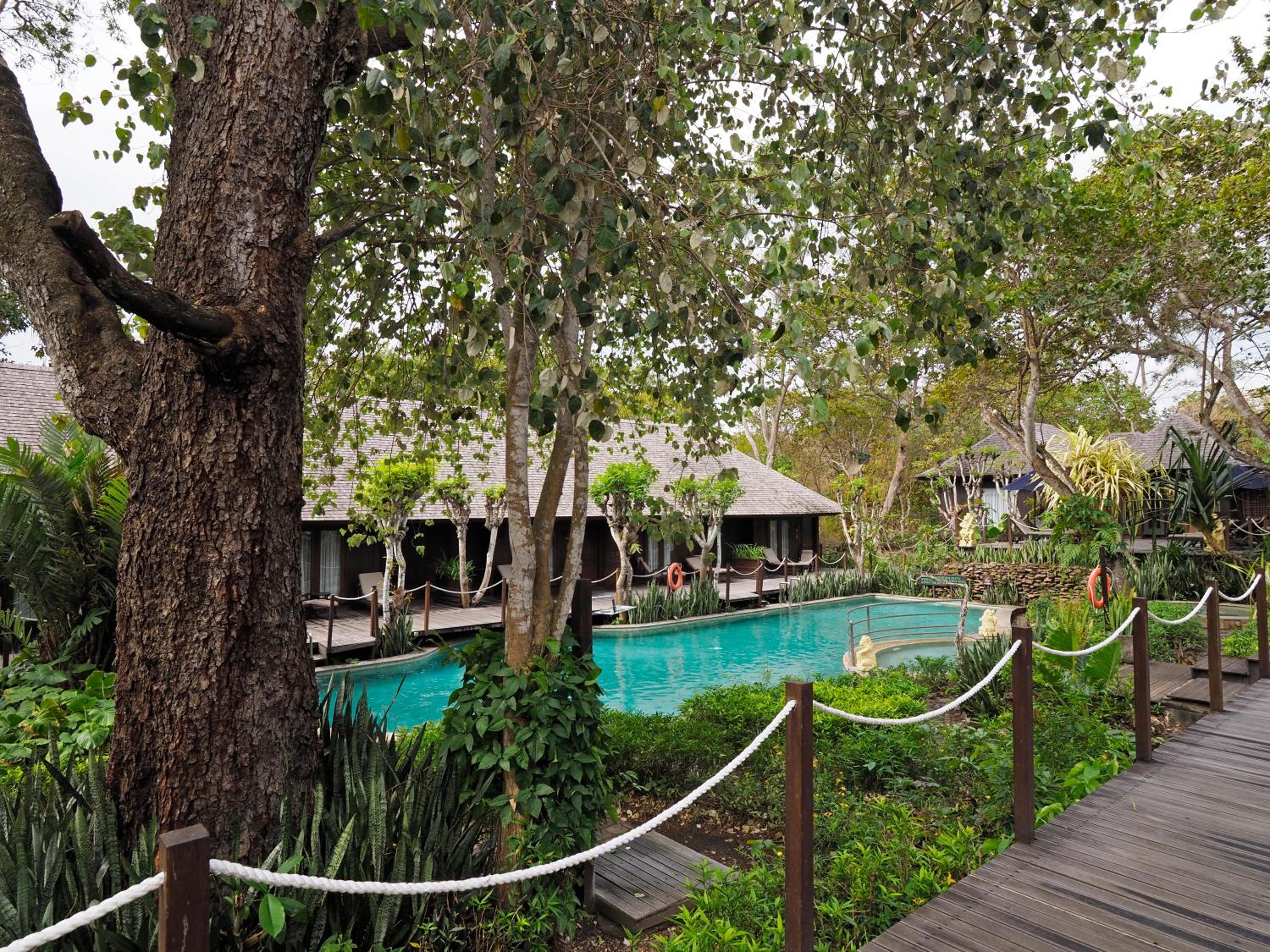 Deluxe Room with Daily Spa