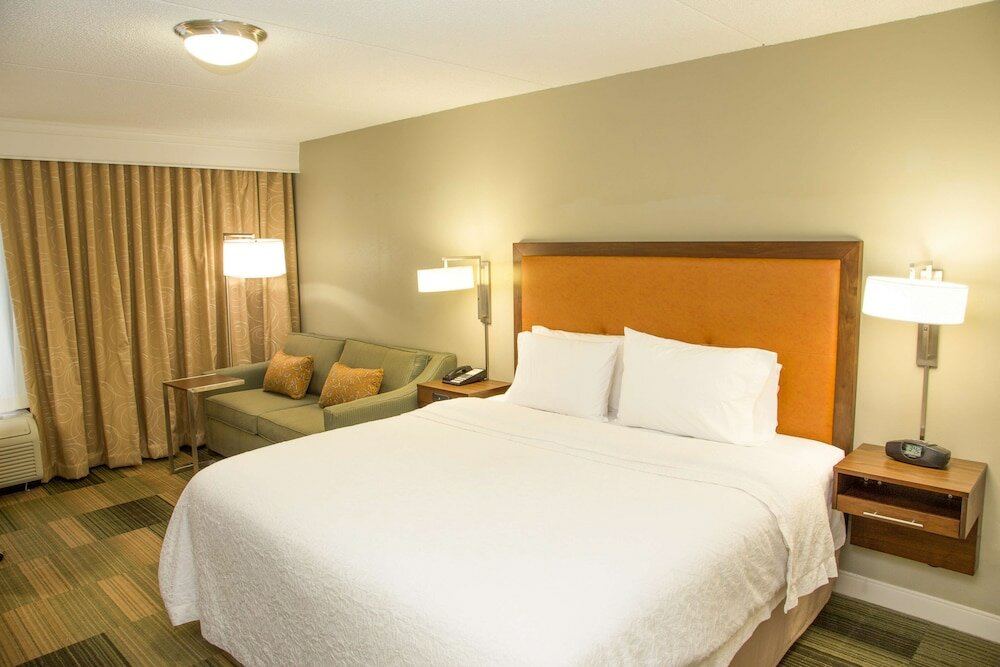 Studio, 1 King Bed with Sofa bed