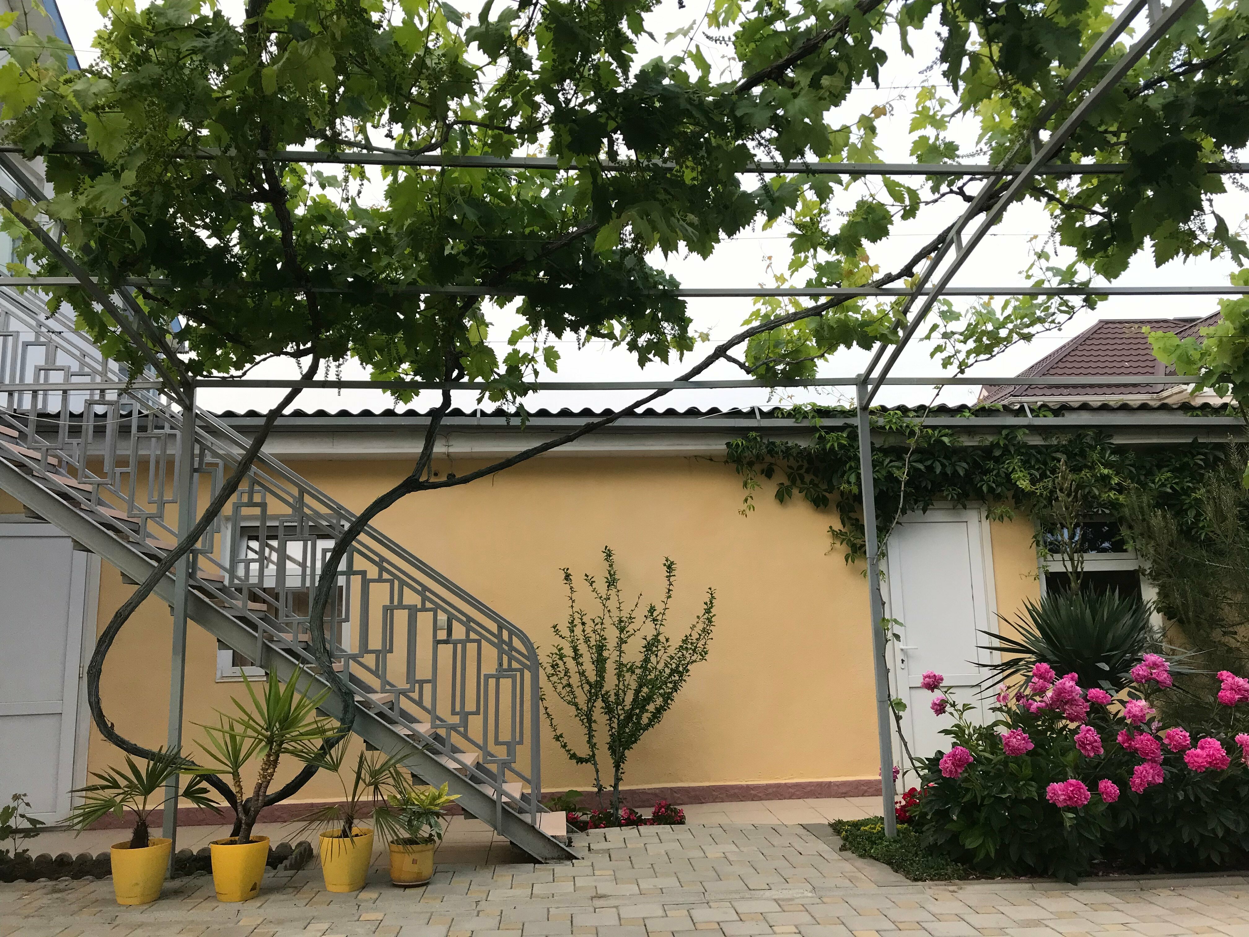 Двухместный номер с 1 кроватью и террасой