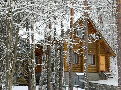 Лесной в Дача