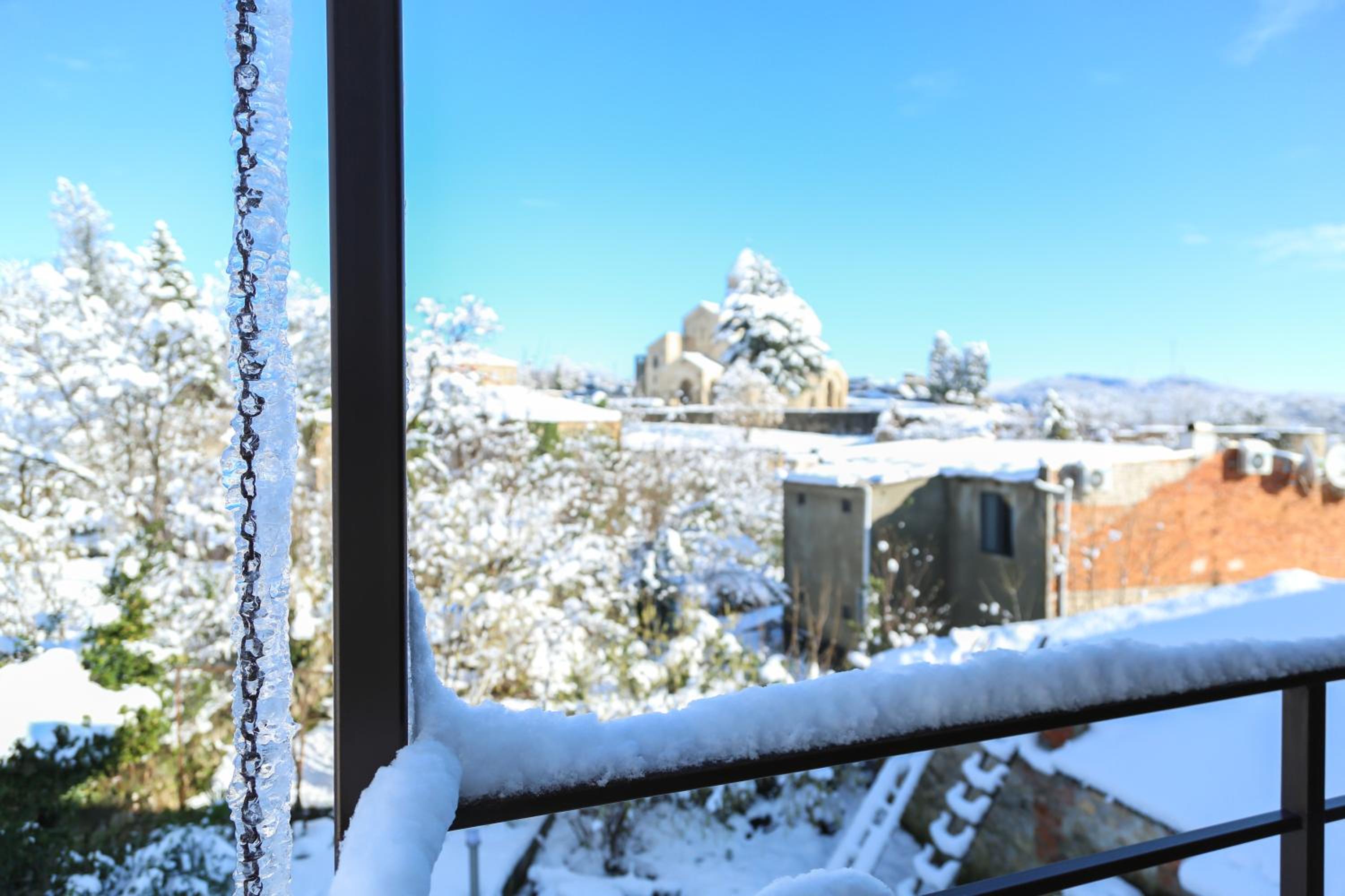 Standard Twin Room with Garden View