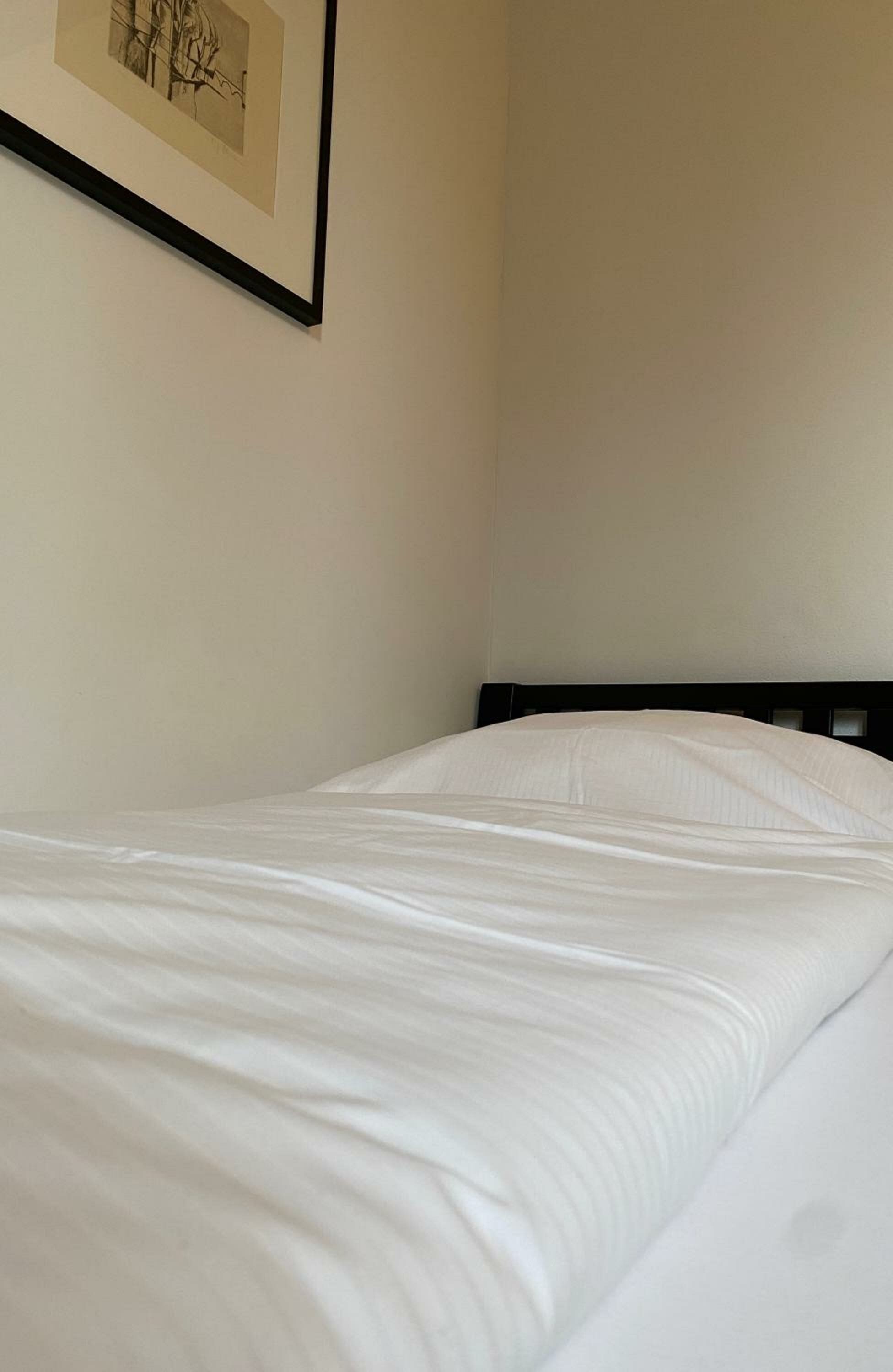 Single Room with Terrace