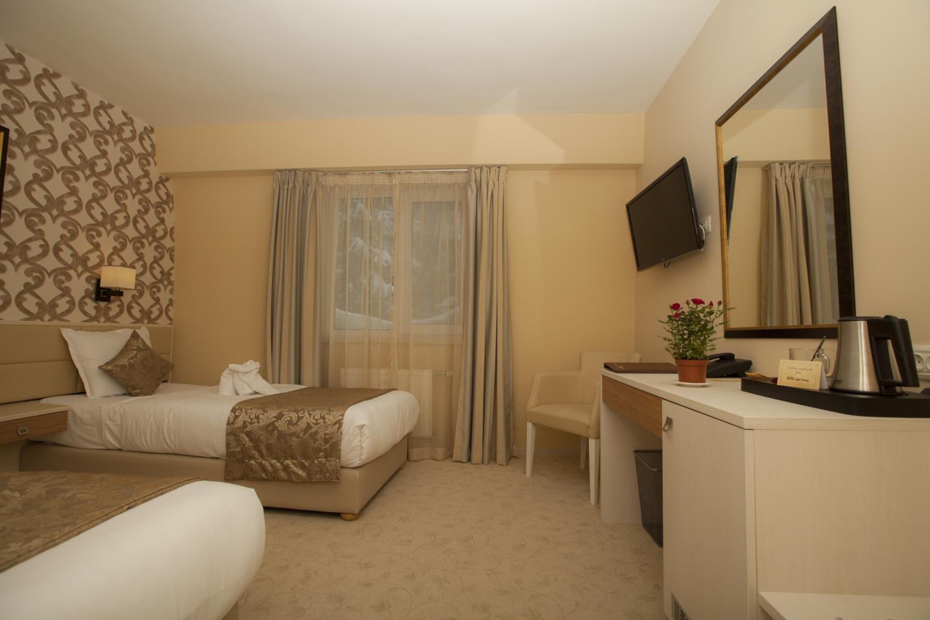Double or Twin Room with Mountain View