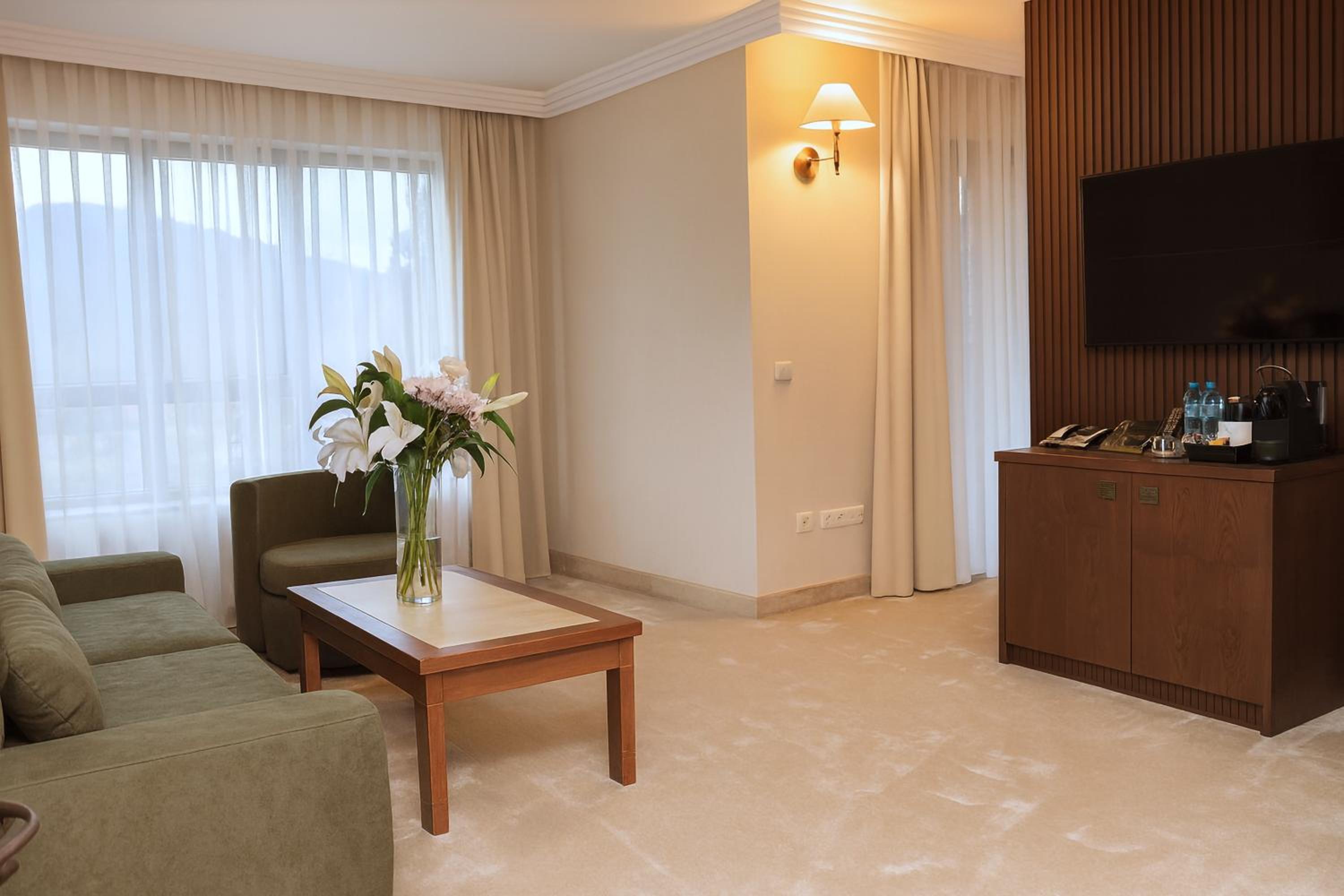 Modernized Junior Suite with Terrace (renovated)