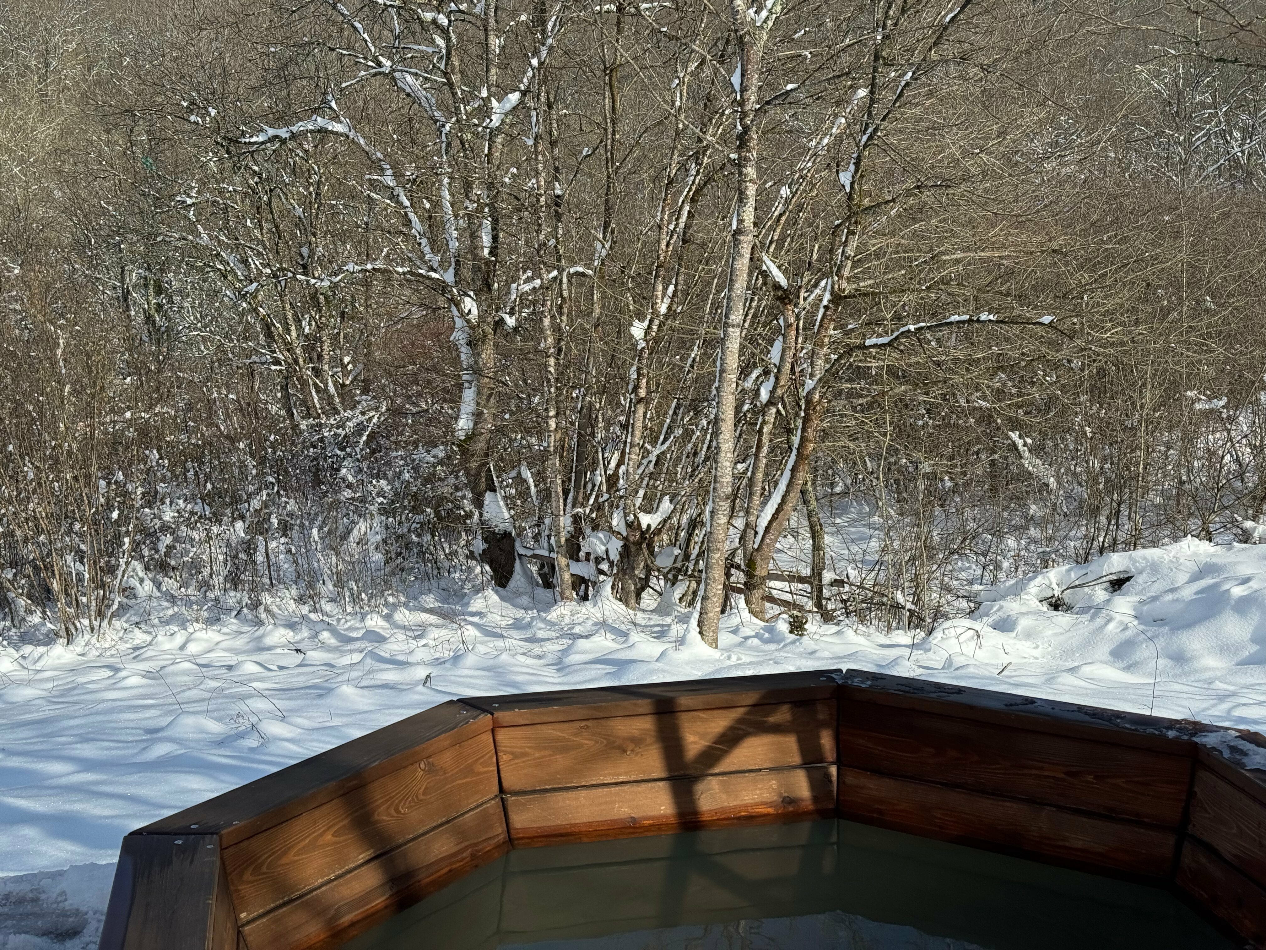 Домик с видом на лес