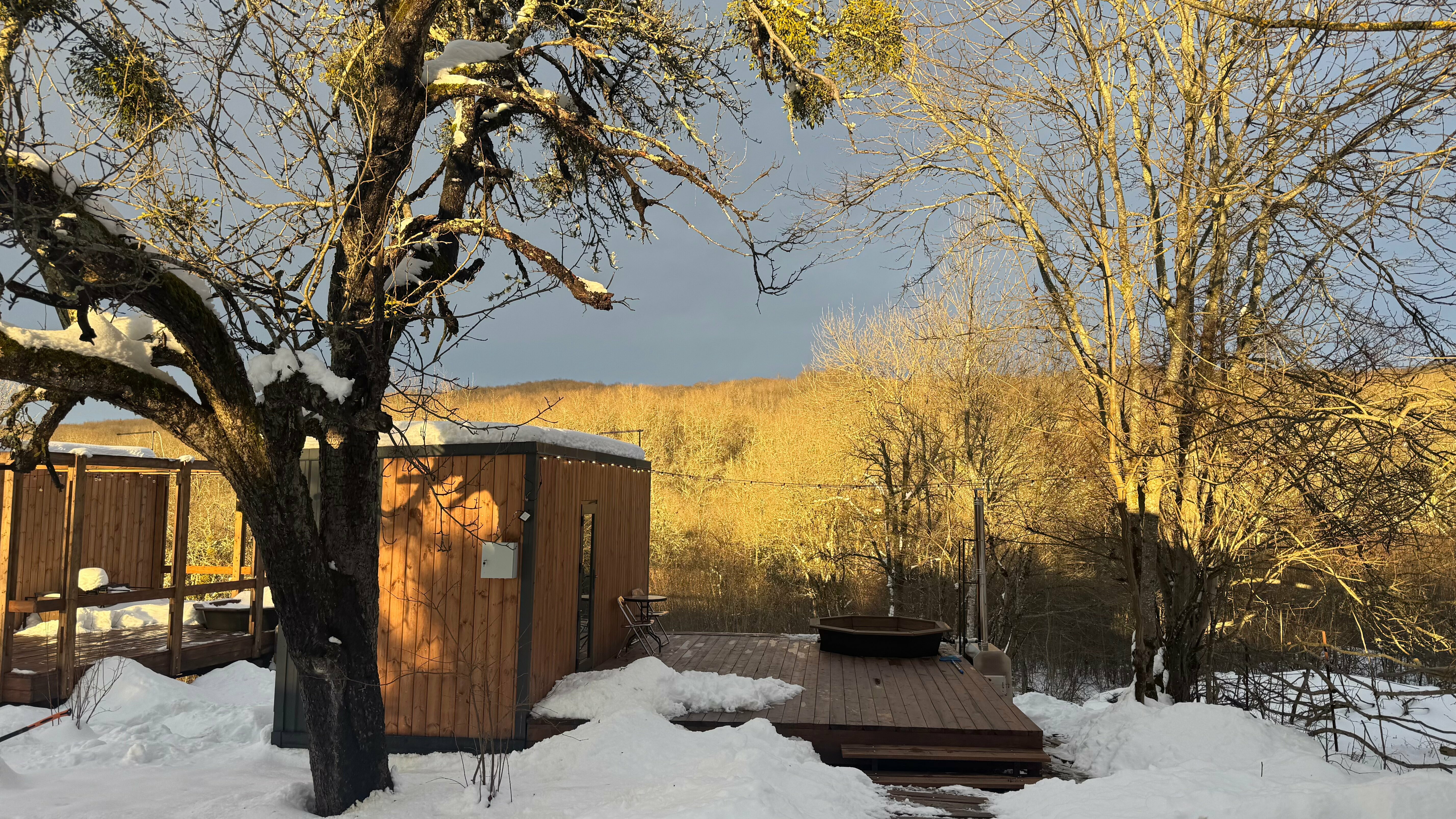 Домик с видом на лес