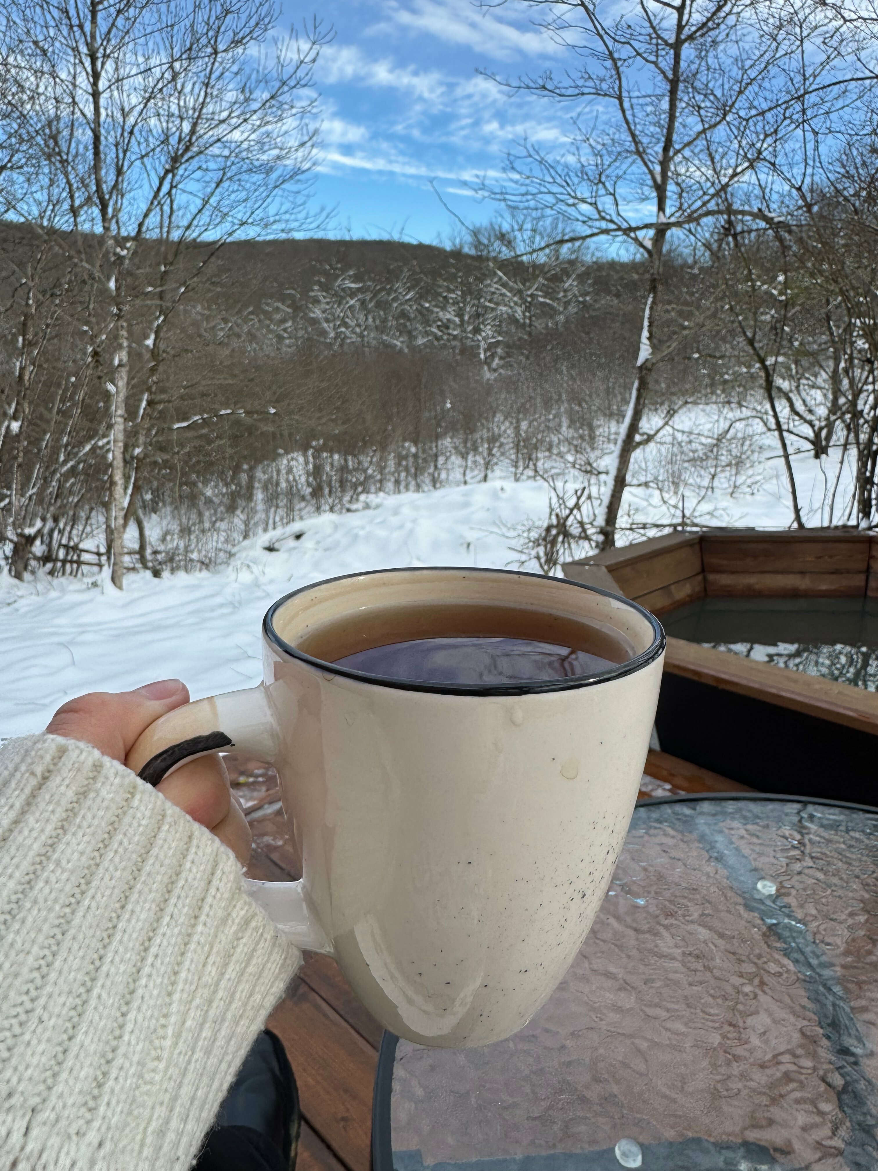 Домик с видом на лес