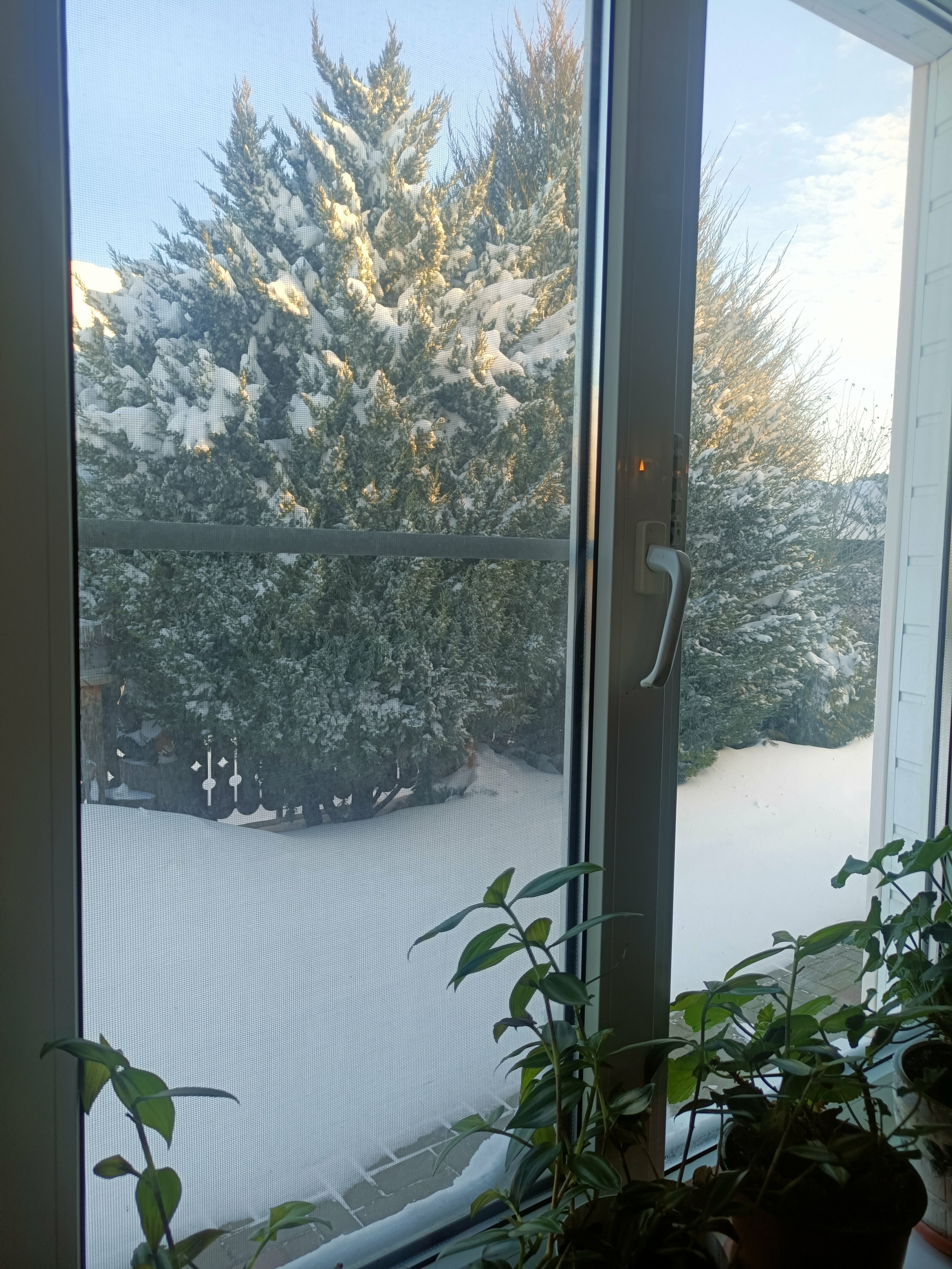 Стандартный трехместный номер