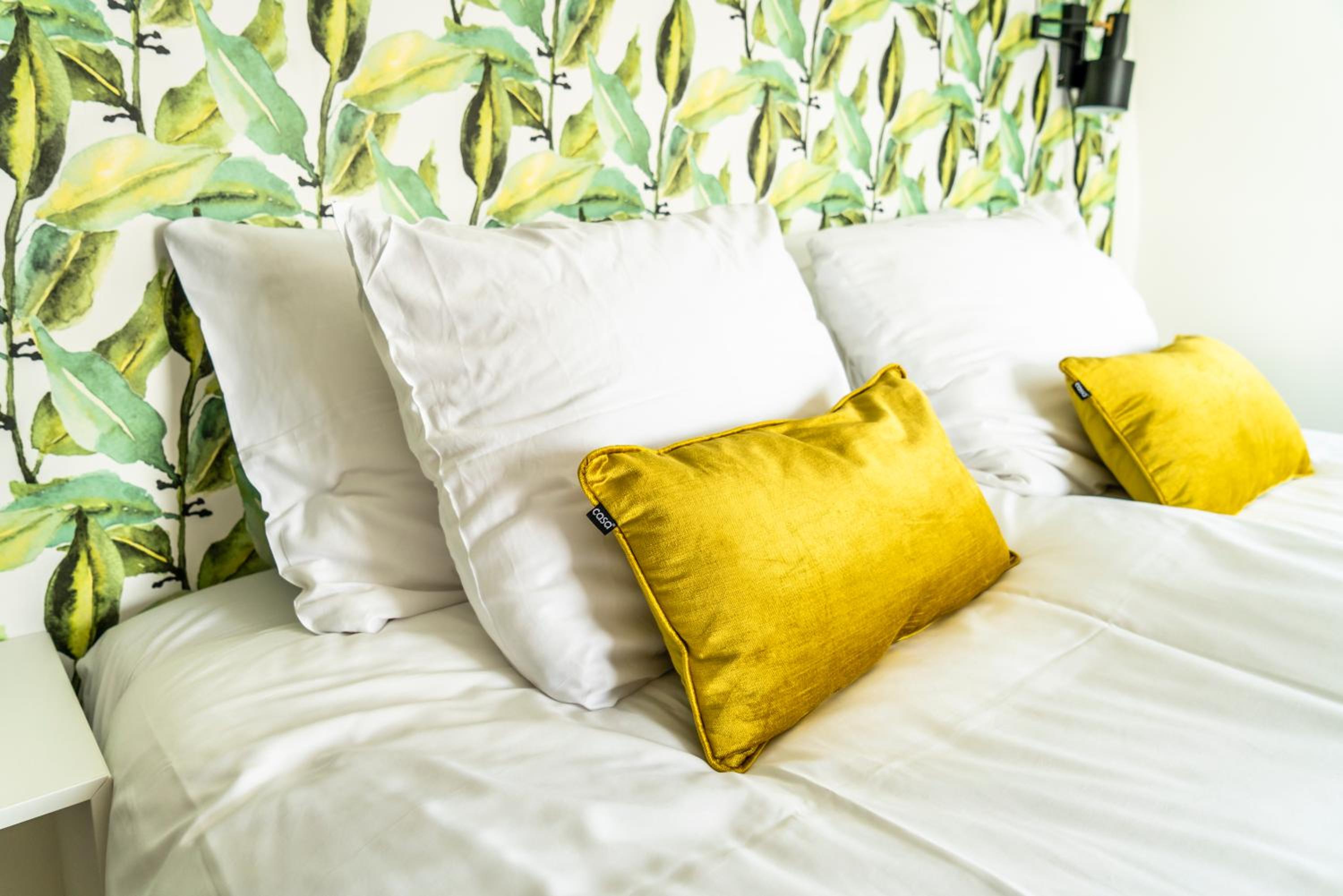 Deluxe Double Room - pets allowed