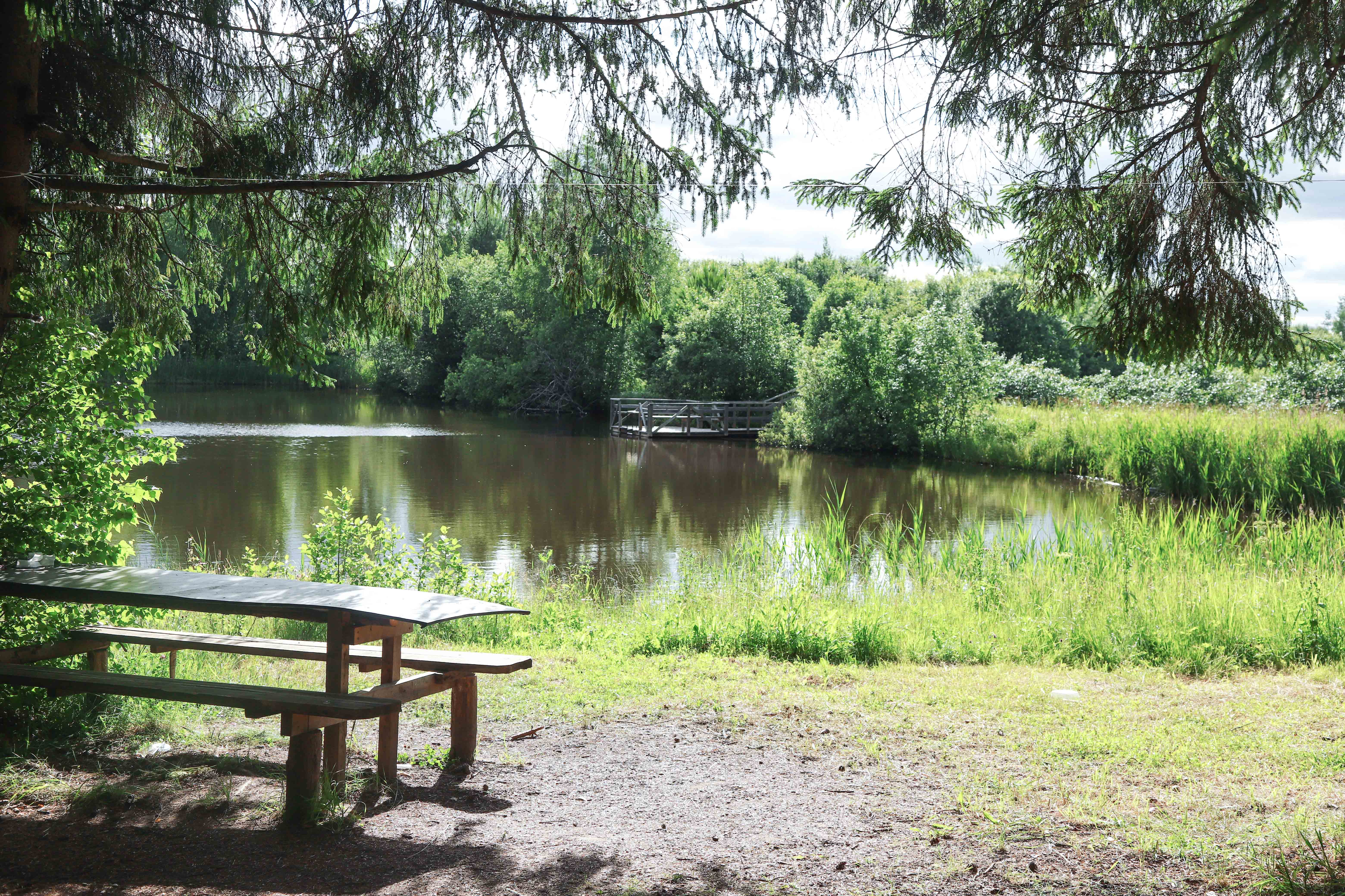 Одноместный номер