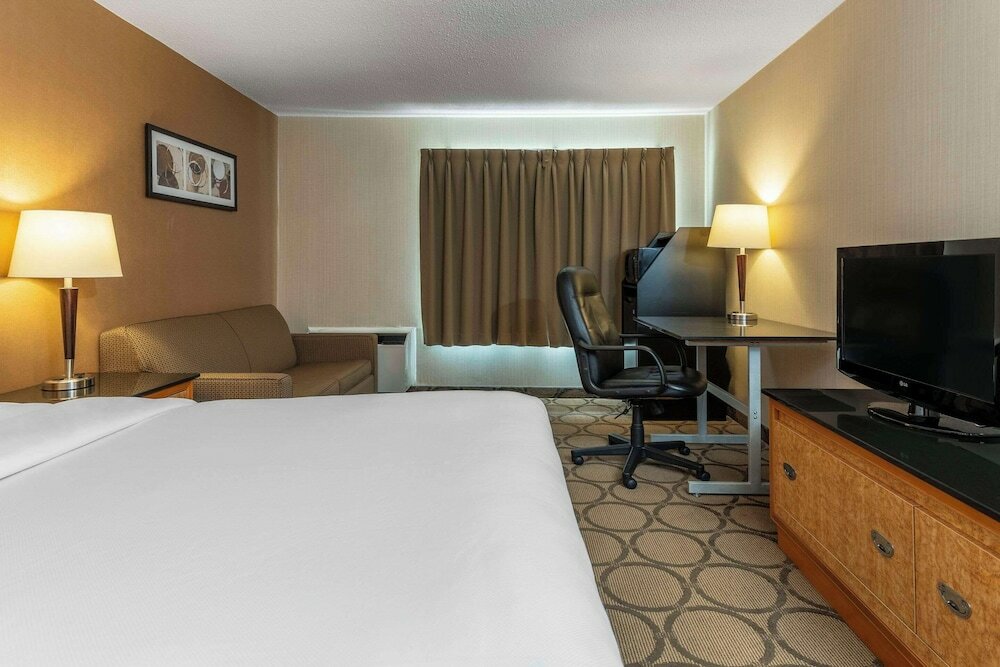 Comfort Care, Standard Room, 1 Queen Bed with Sofa bed, Non Smoking