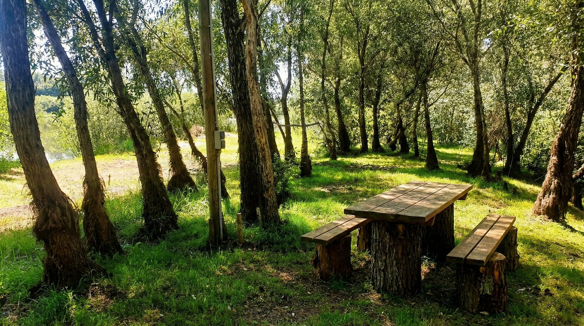 Поляна  под кемпинг, свой душ туалет, электричество, пляж.