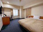 Двухместный номер с 1 двуспальной кроватью, для курящих в Nissei Hotel Fukuoka