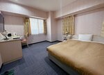 Двухместный номер с 1 двуспальной кроватью, для некурящих в Nissei Hotel Fukuoka