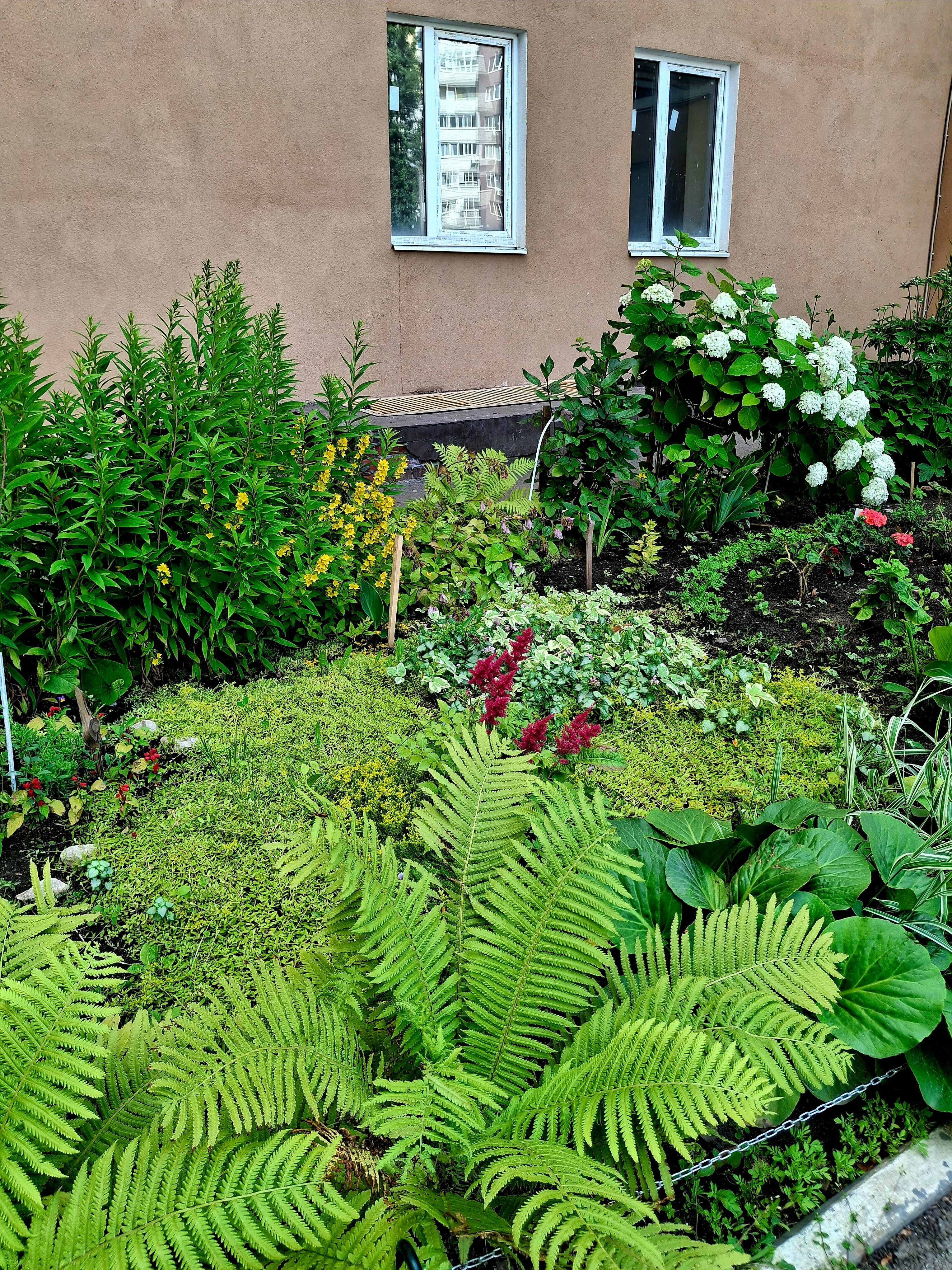 Cемейный номер с собственной ванной комнатой