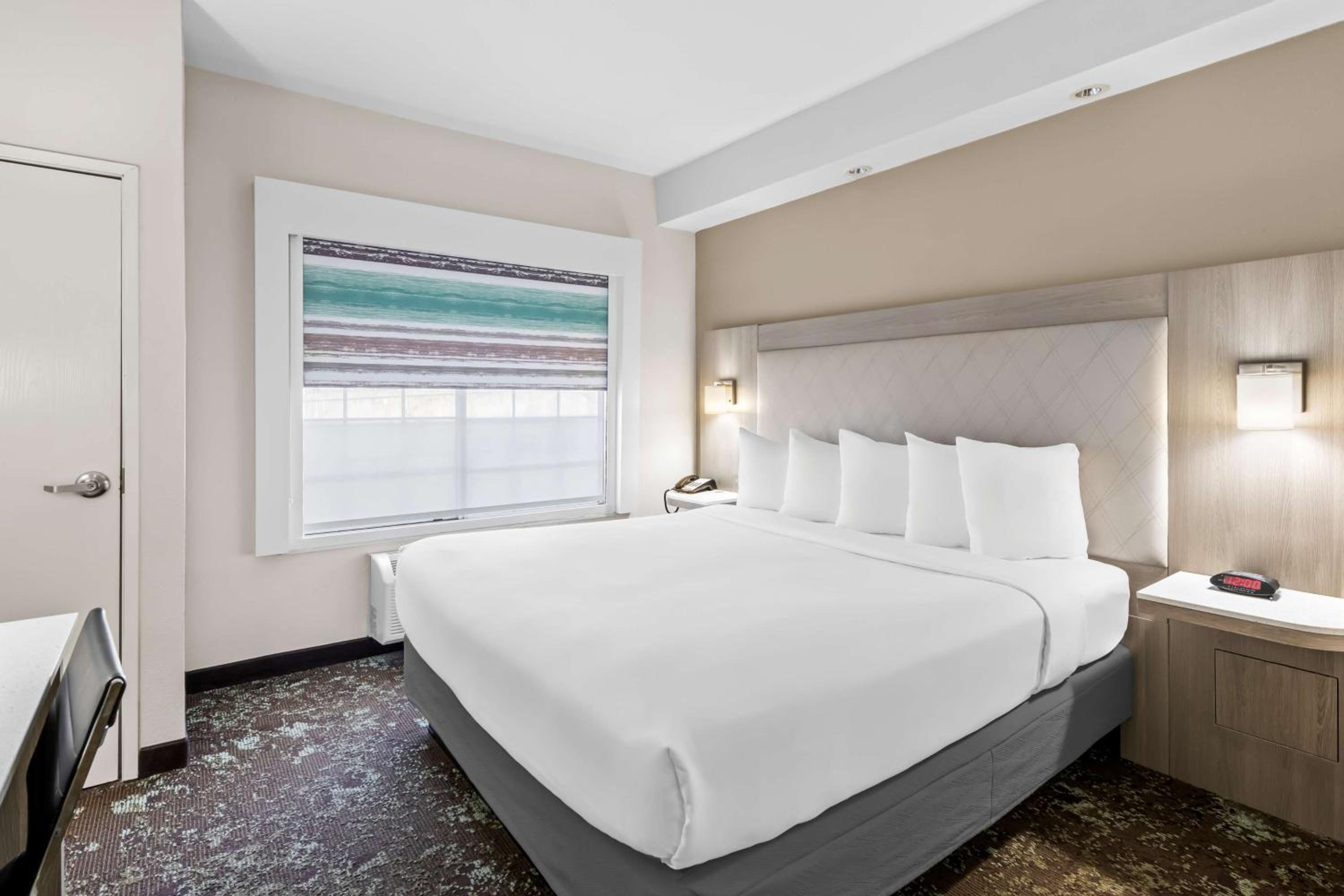 King Suite with Sofa Bed