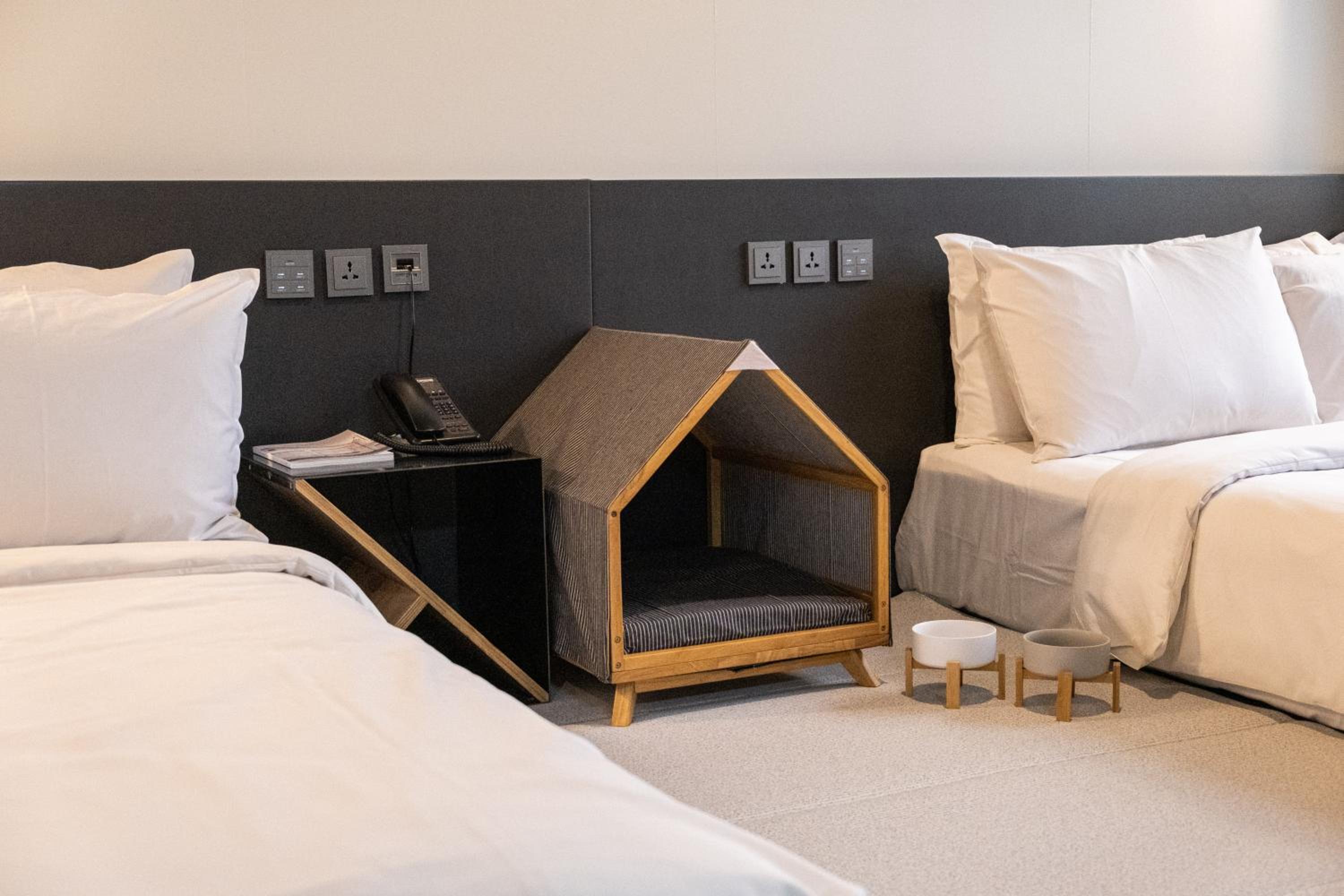 Double Room With Two Double Beds - Dog Allowed