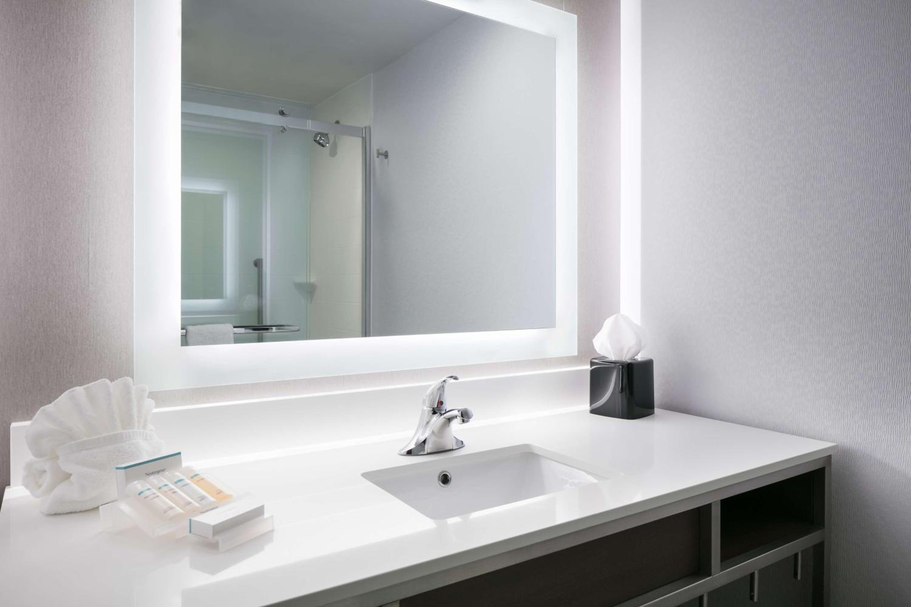 Junior King Suite with Sofa Bed