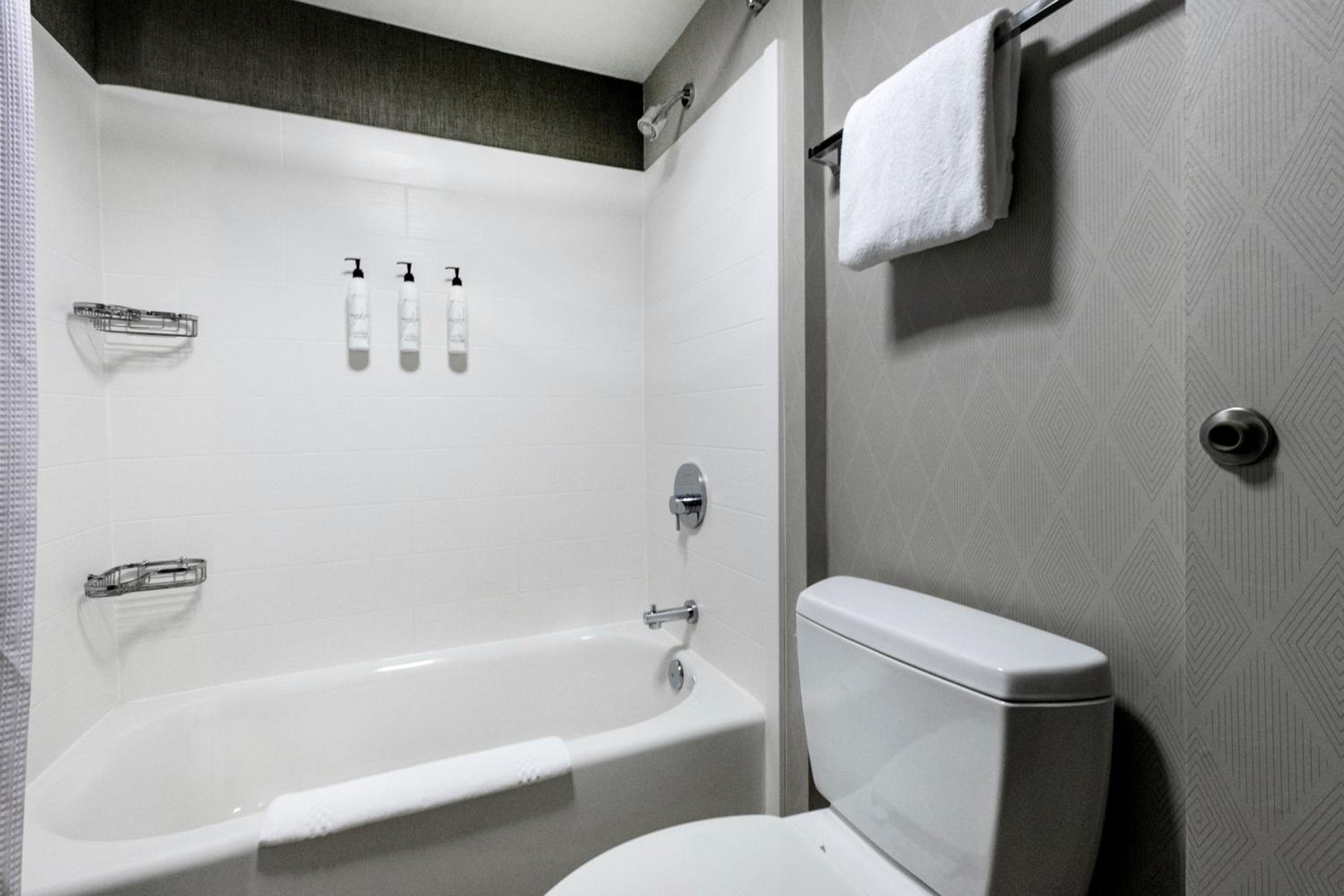 King Suite with Sofa Bed