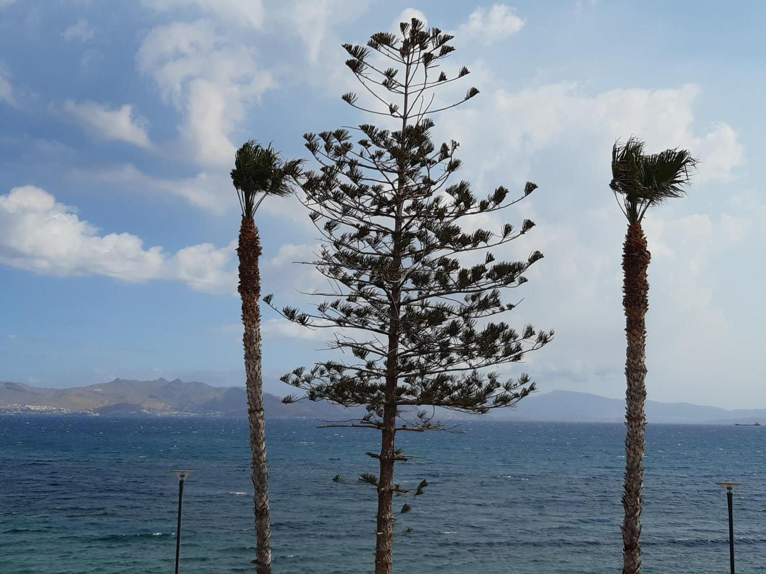 One-Bedroom Apartment with Sea View (4 Adults)