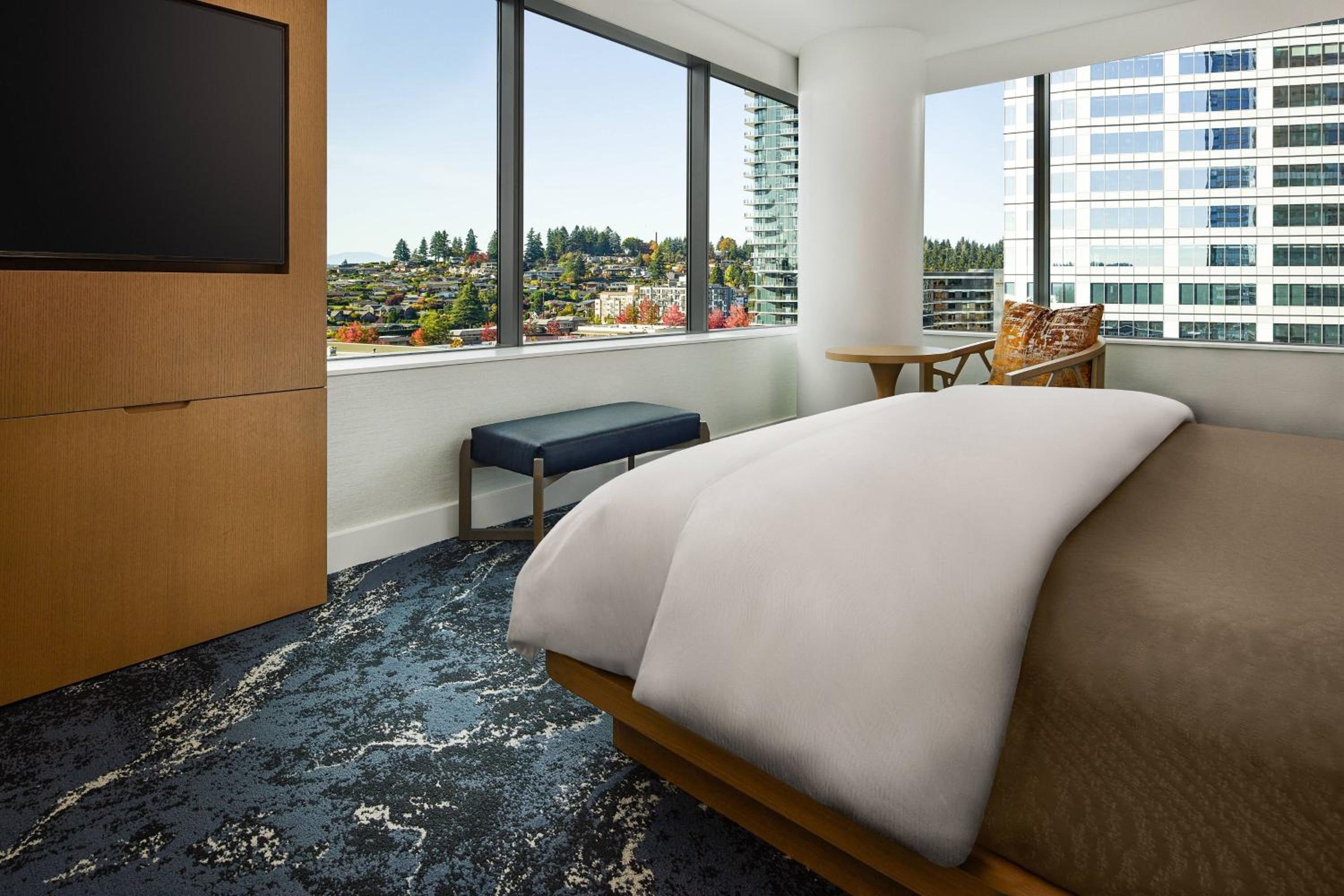 Executive Suite, 1 King, Sofa bed