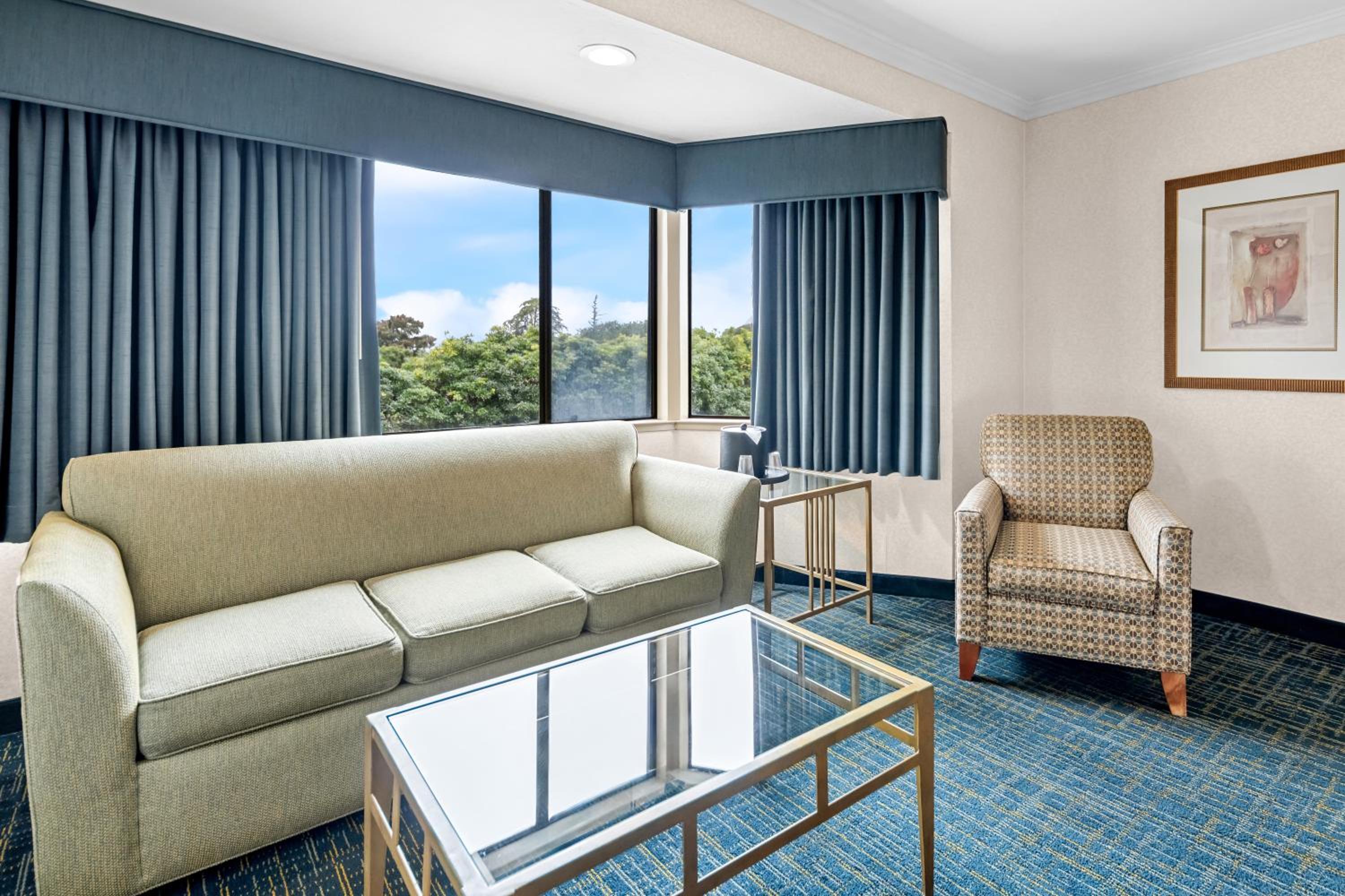 King Room - Pet Friendly/Non-Smoking