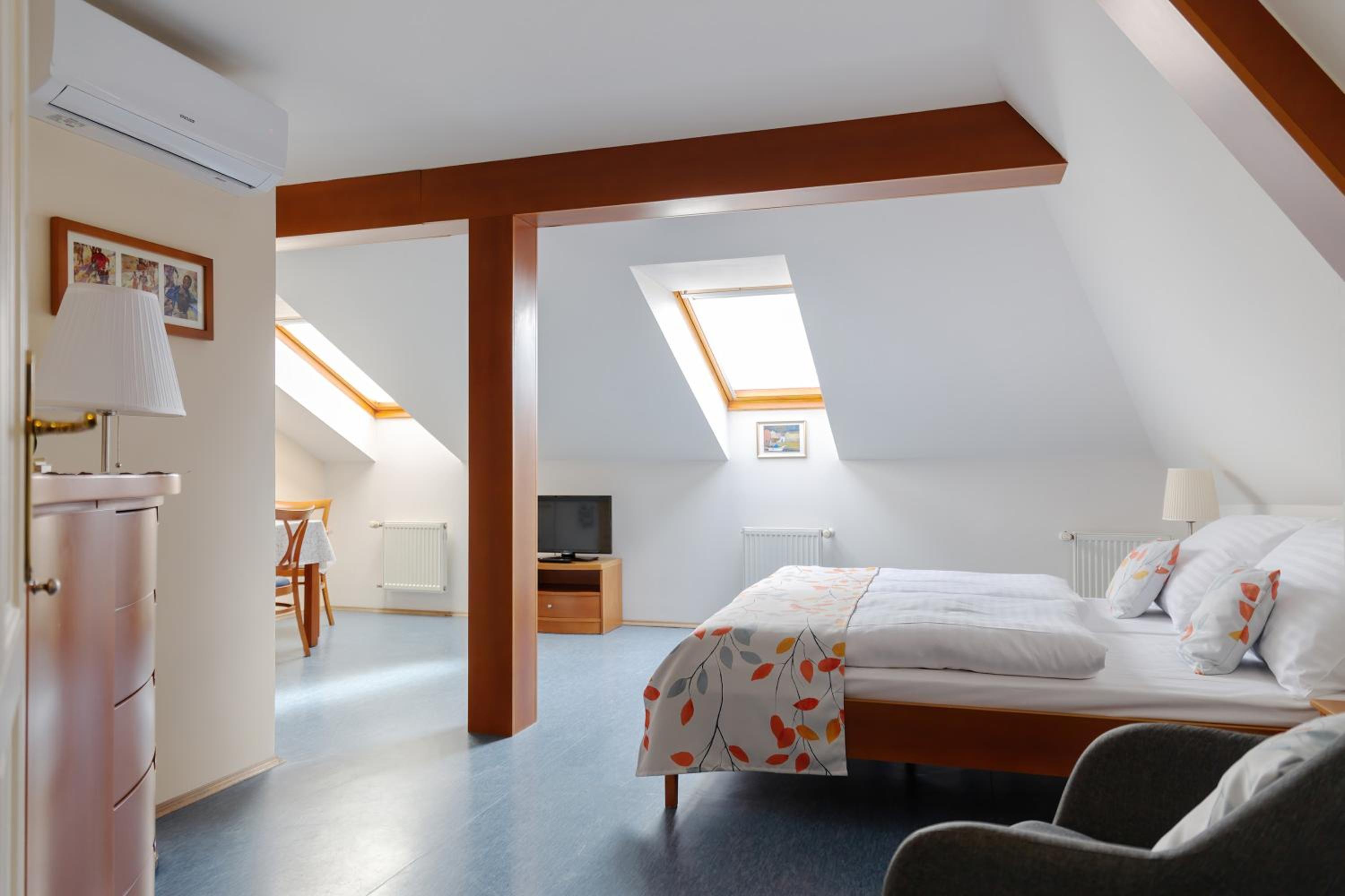 Studio Apartment - Attic