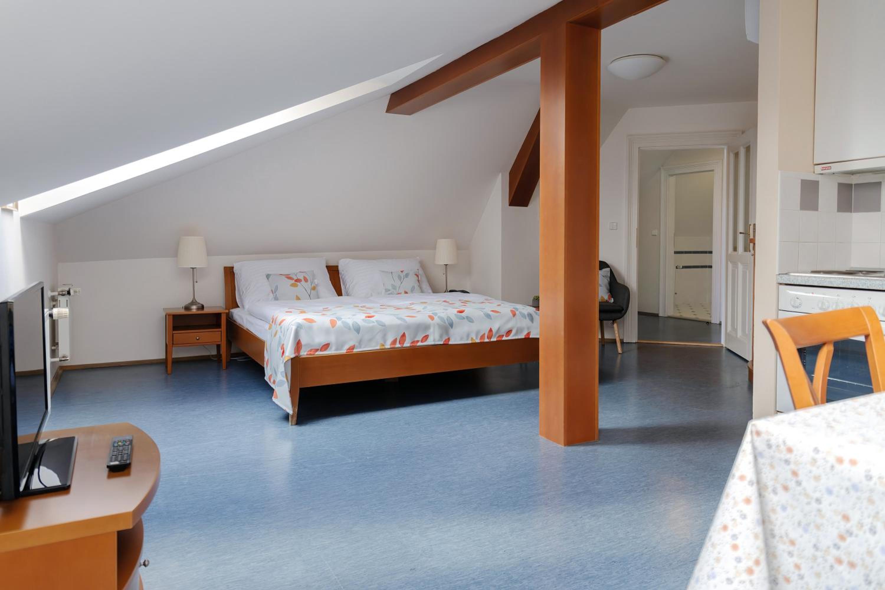 Studio Apartment - Attic