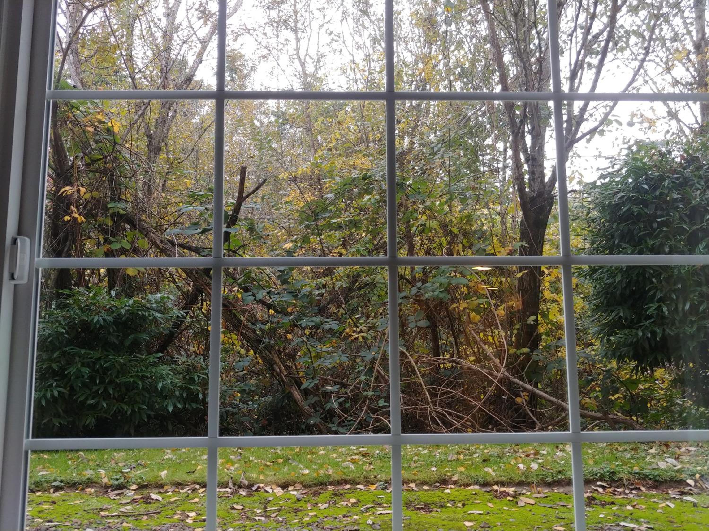 Larger King Room with Single Sofa Bed