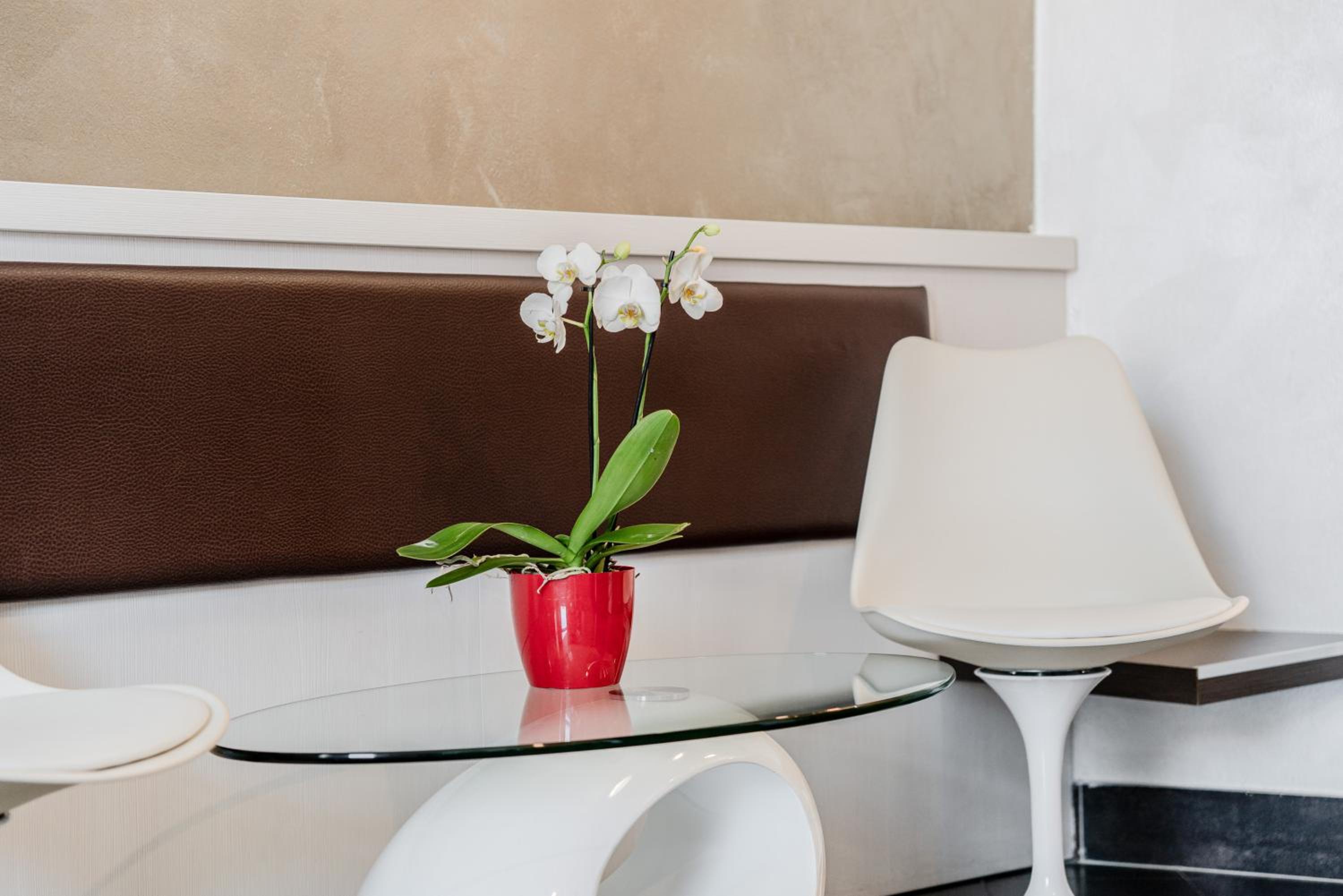 Superior Double Room with Terrace