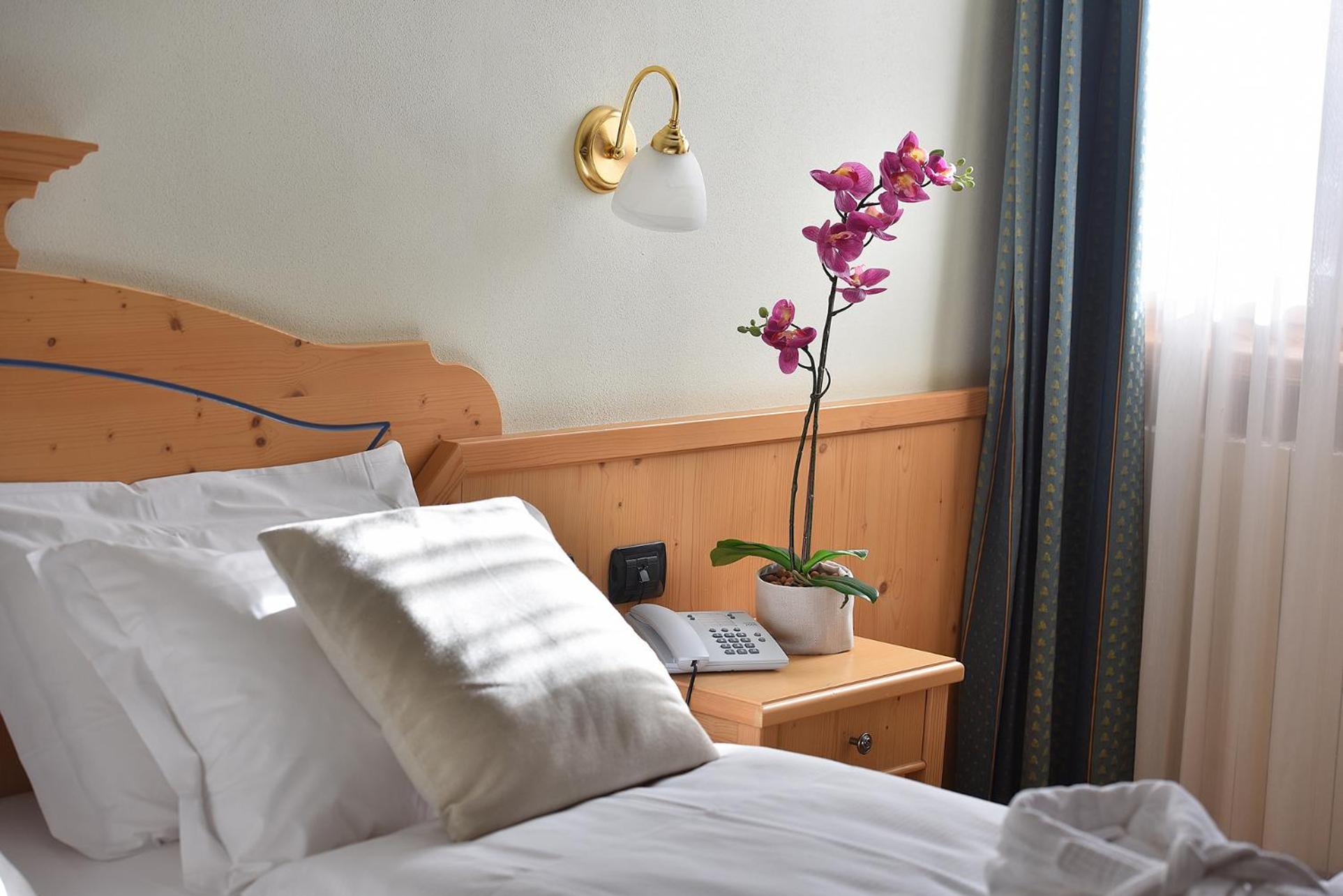 Double or Twin Room with Mountain View