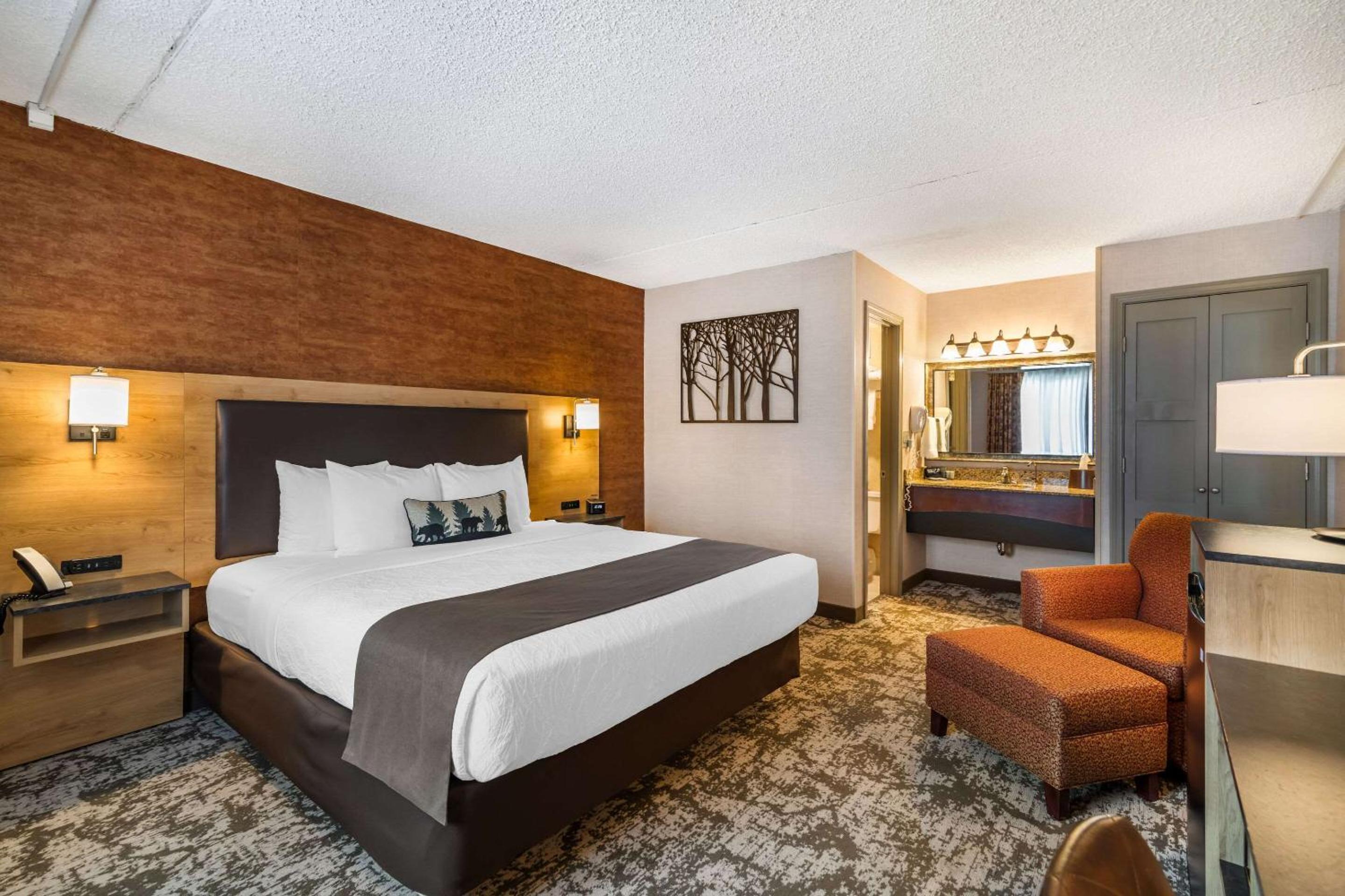 Standard King Room - Non-Smoking 