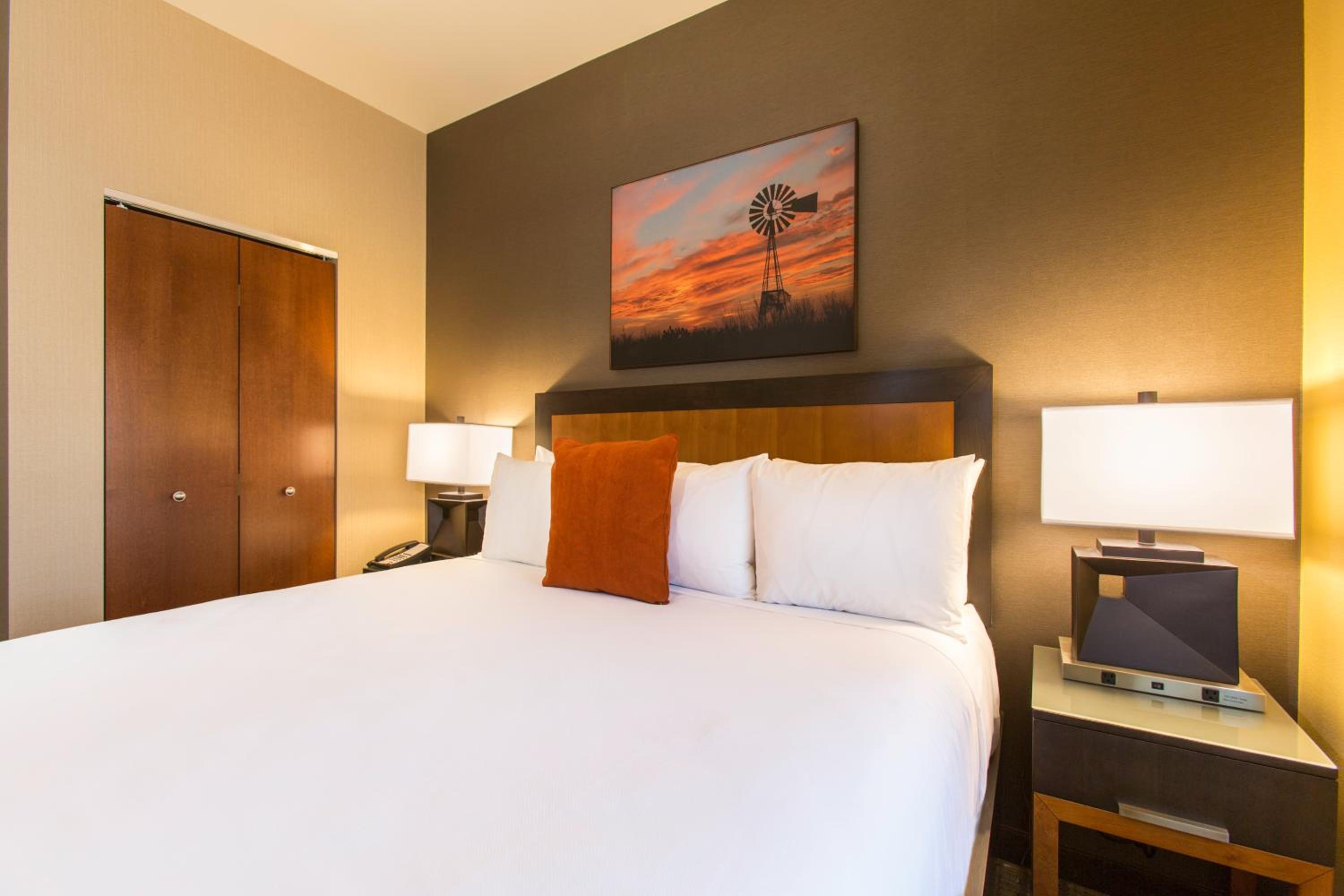 King Suite with Sofa Bed