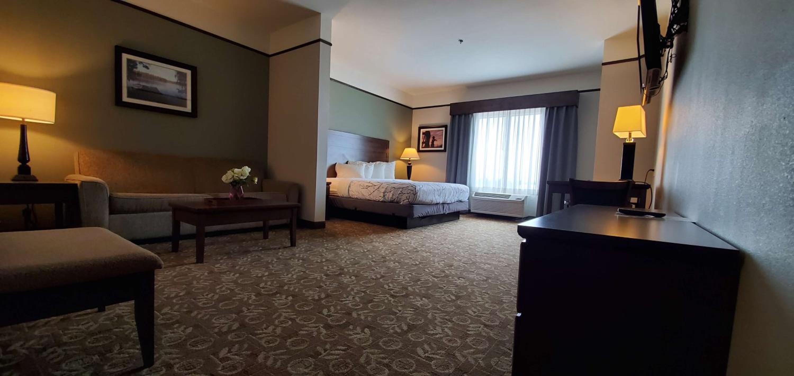 King Suite with Bath Tub and Sofa Bed - Disability/Non-Smoking