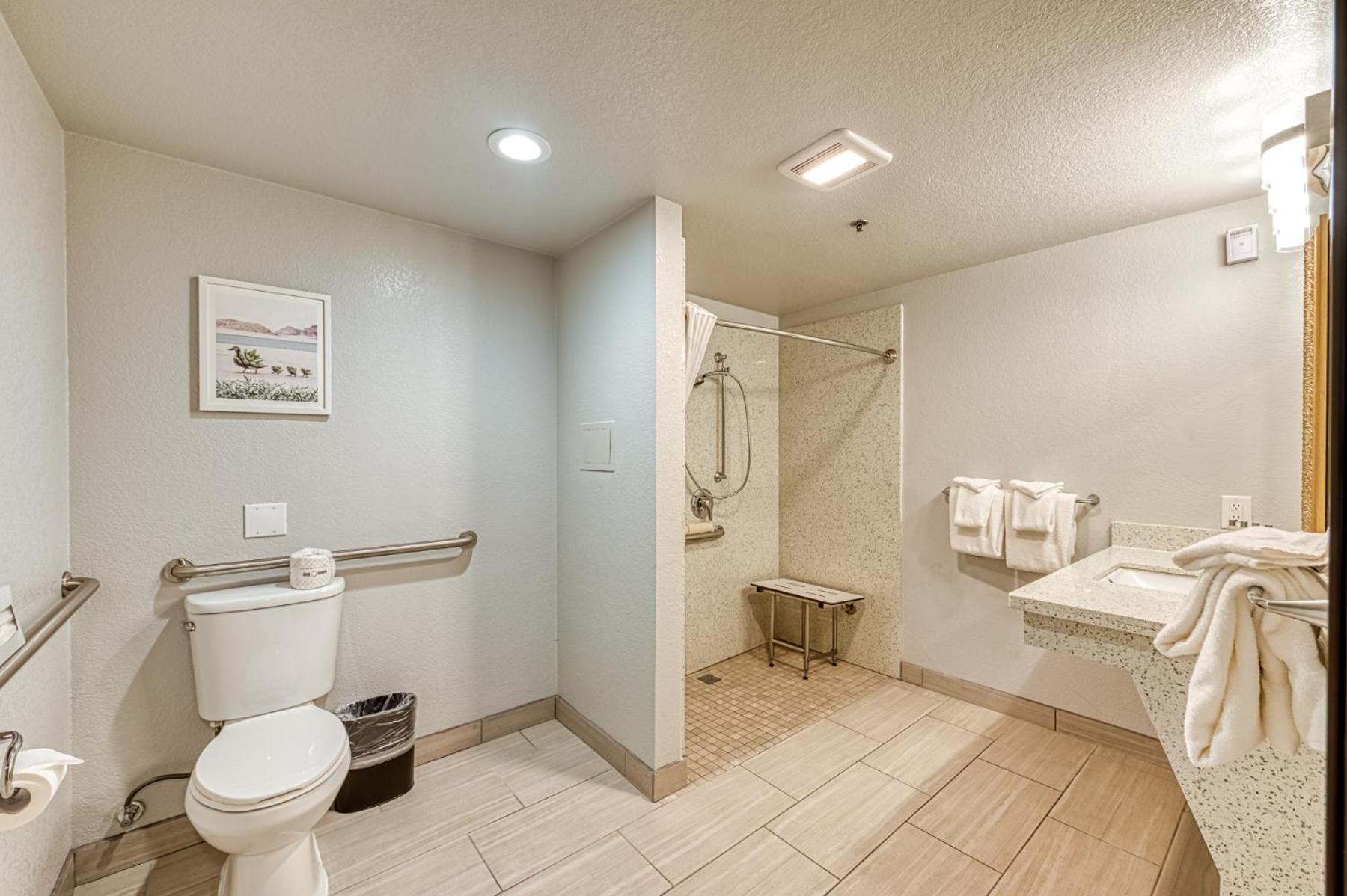 King Room with Roll-In Shower - Accessible/Non Smoking