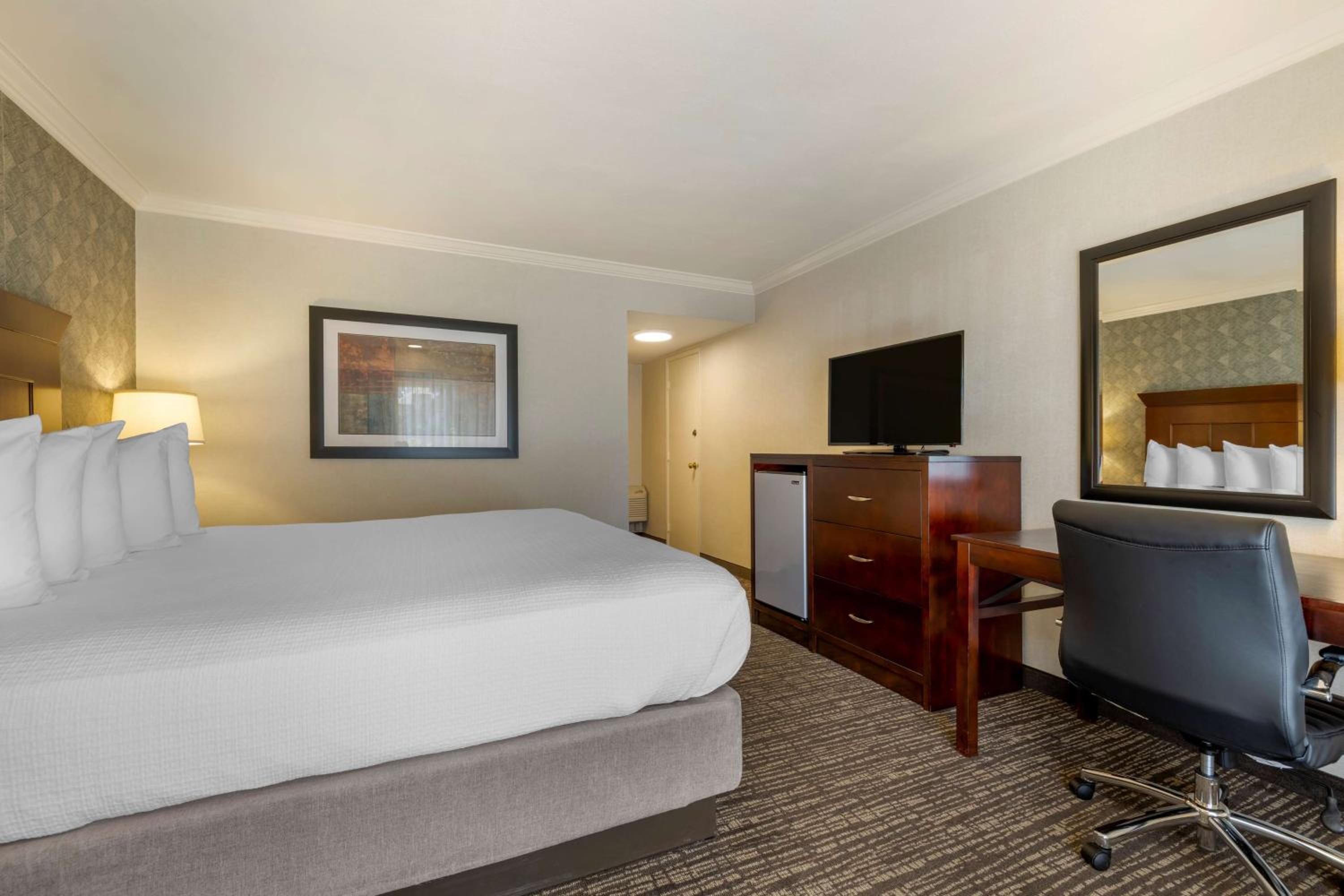 King Suite with Bath Tub and Sofa Bed - Disability Access